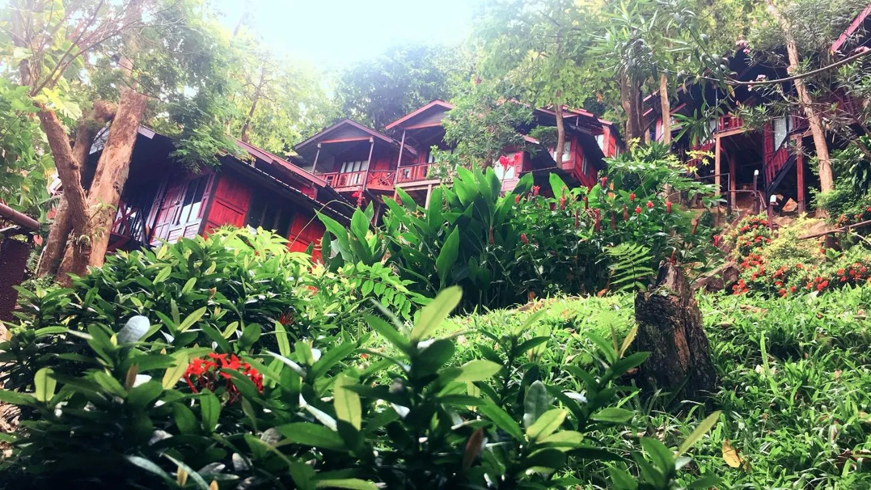 Natural landscape in Phi Phi Green Hill Resort