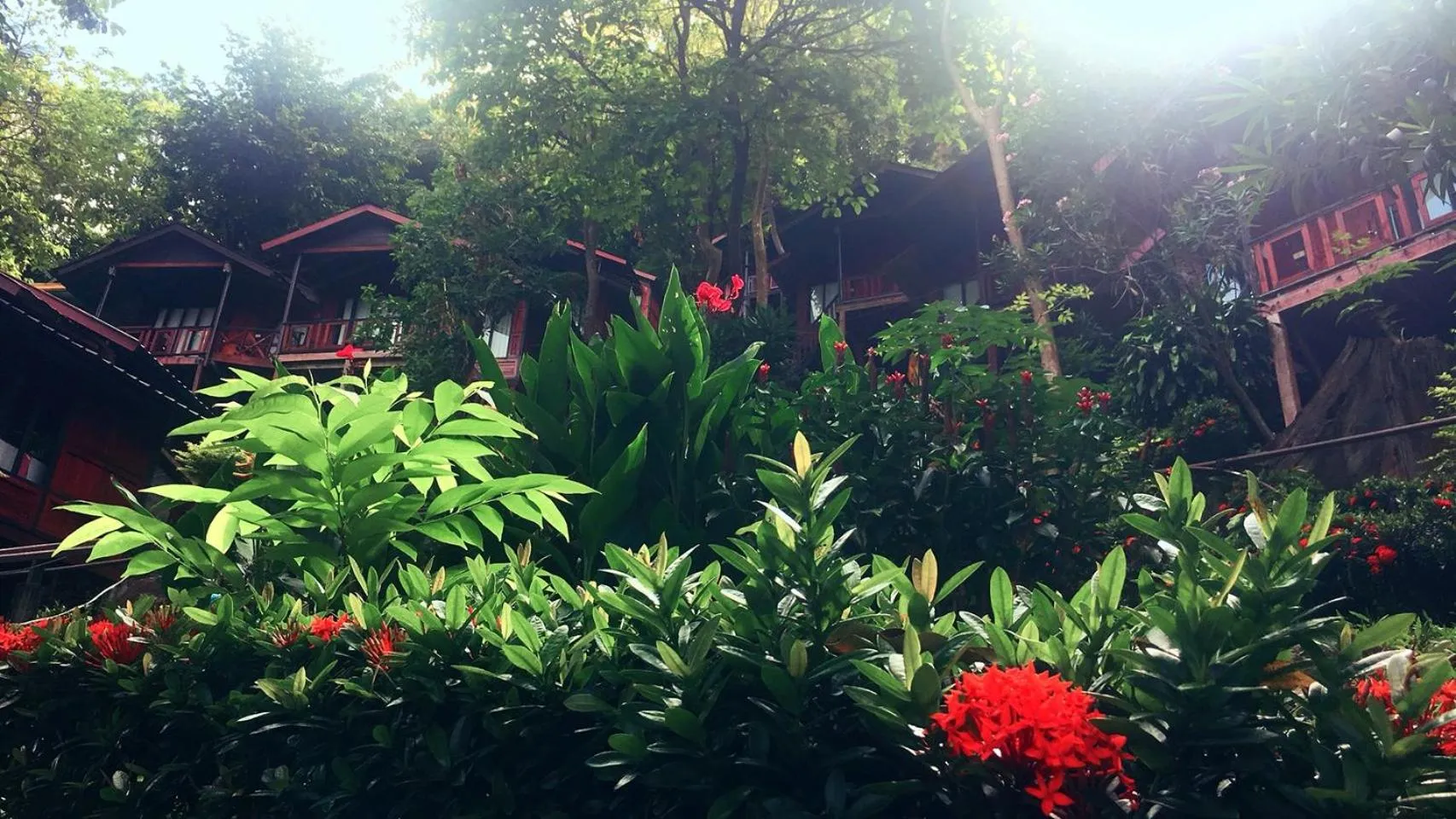 Natural landscape in Phi Phi Green Hill Resort