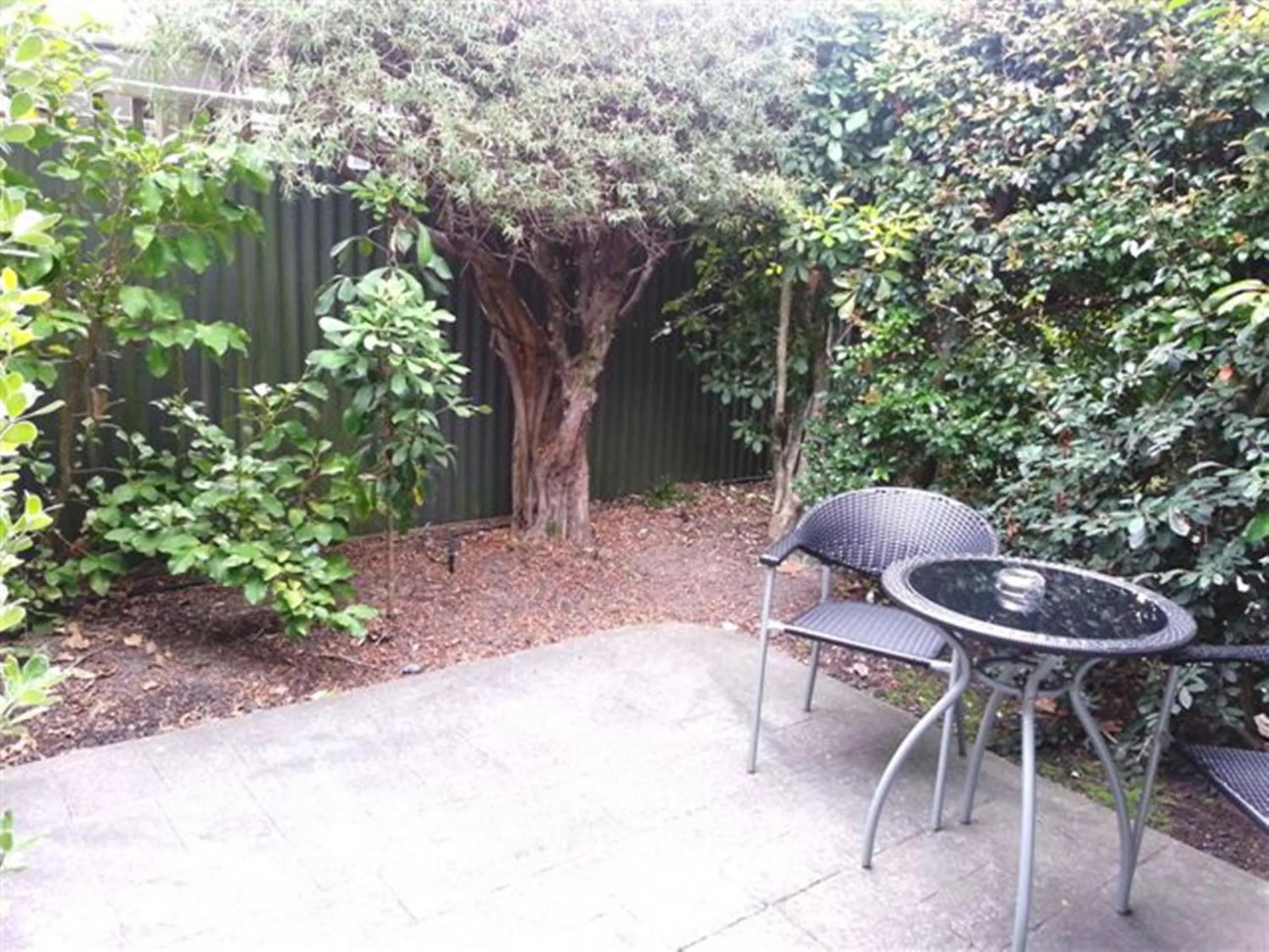 Garden in Marineland Beachfront Accommodation