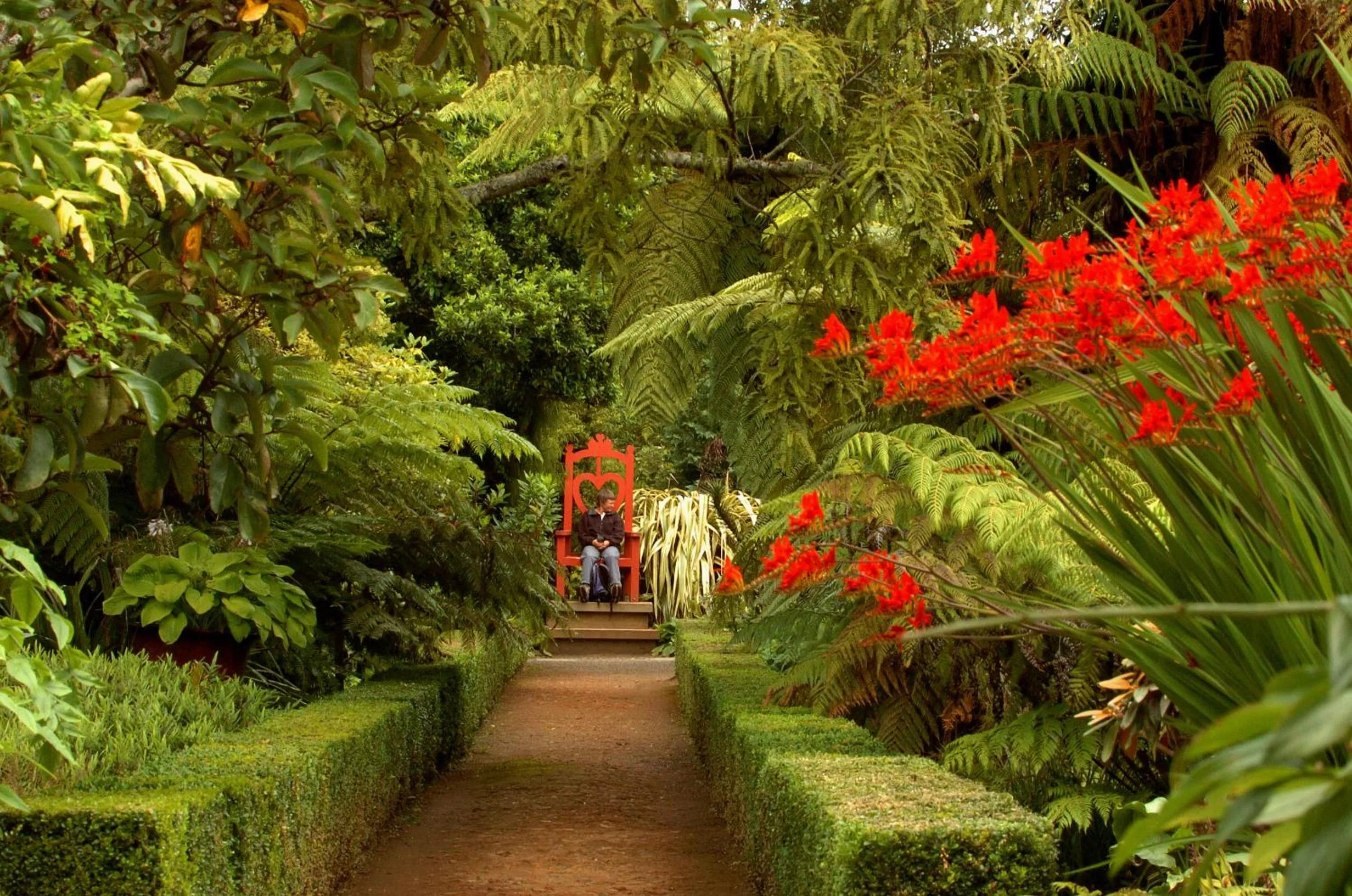 Garden in Larnach Lodge & Stable Stay