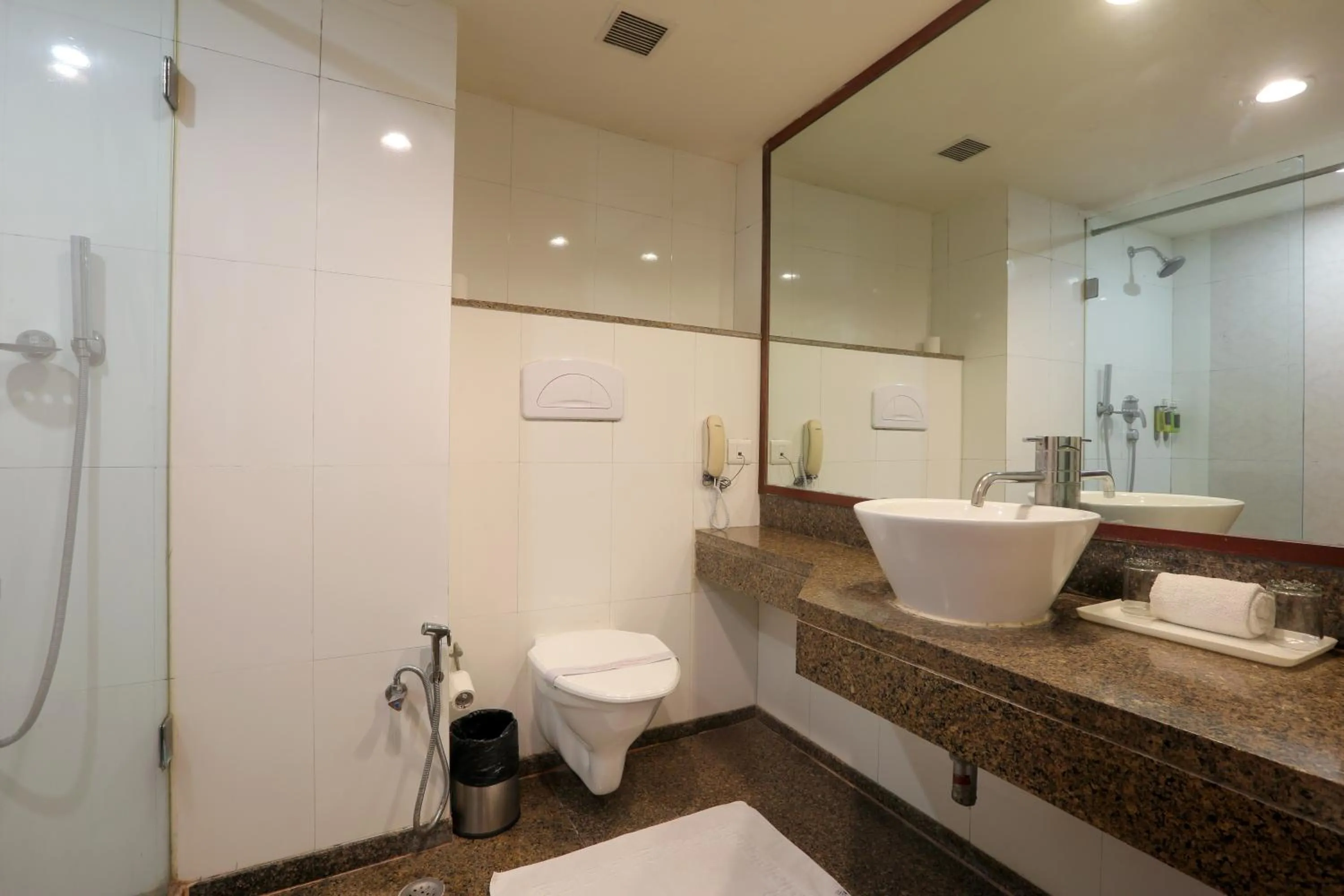 Shower in Vesta Maurya Palace