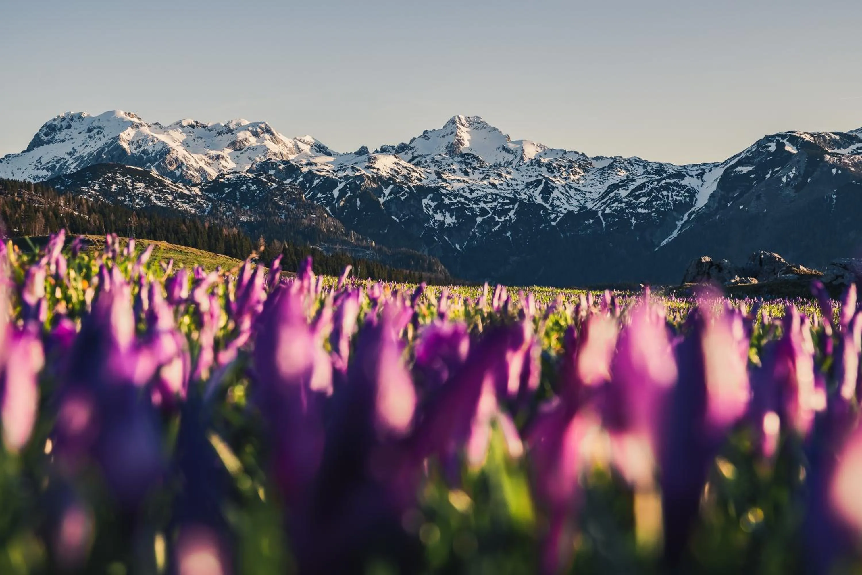 Koča Bistra - Velika planina