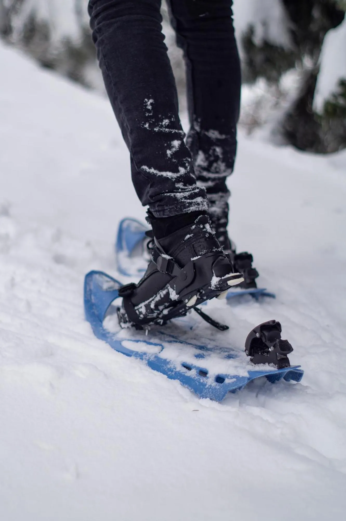 Koča Bistra - Velika planina