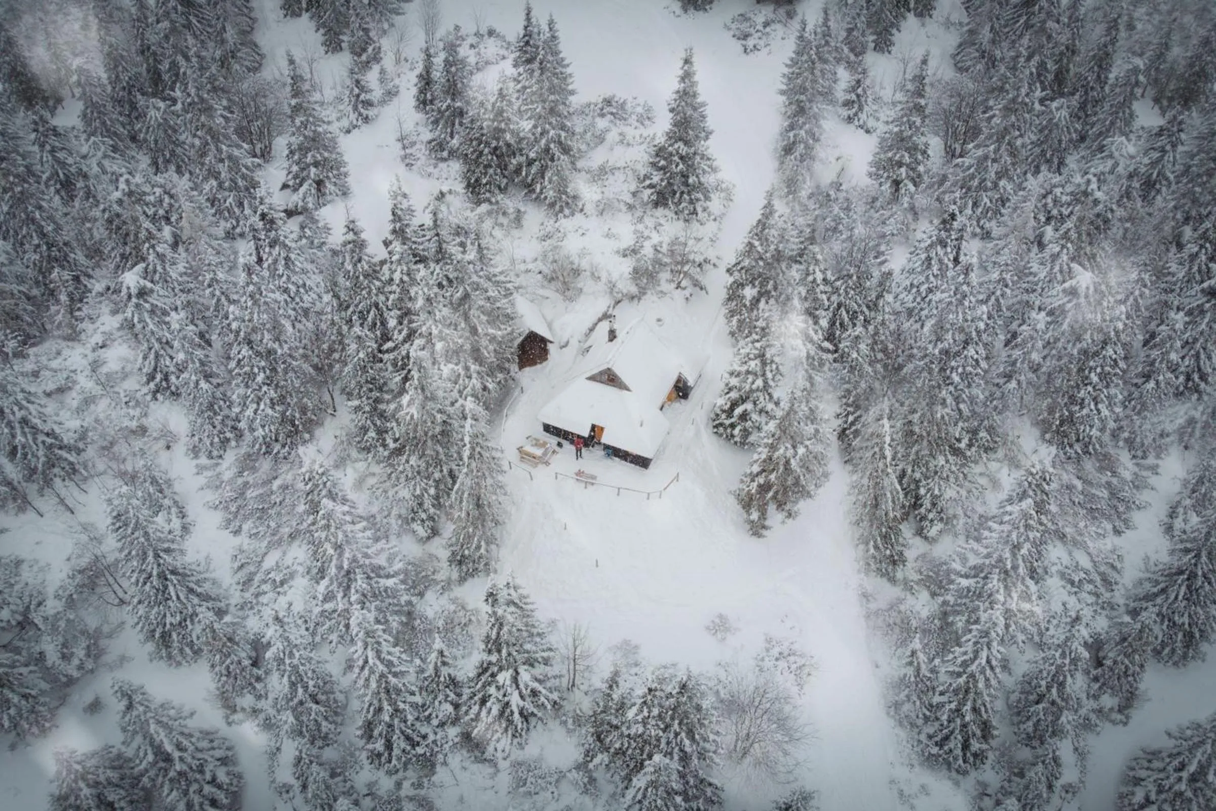 Koča Bistra - Velika planina