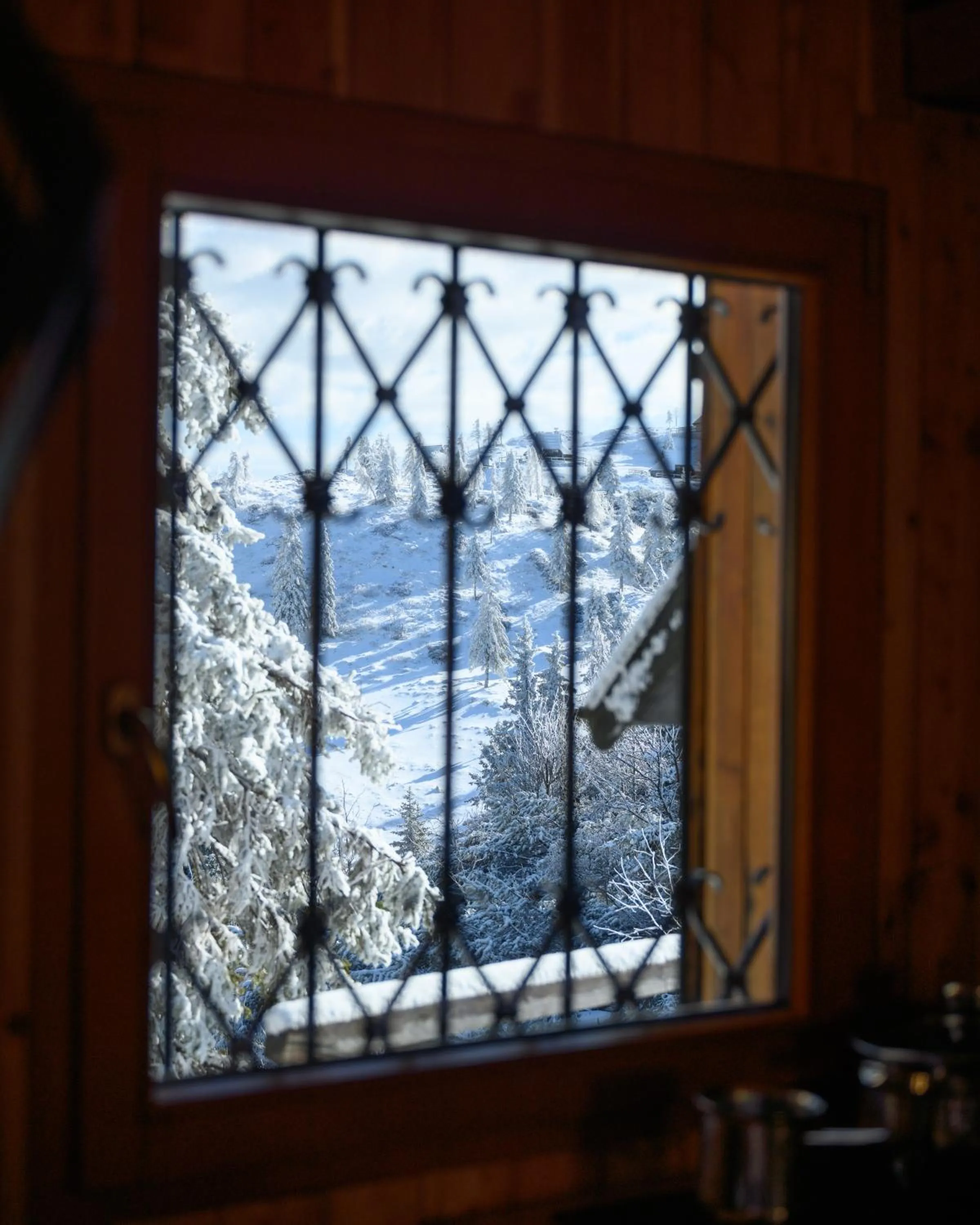Koča Bistra - Velika planina