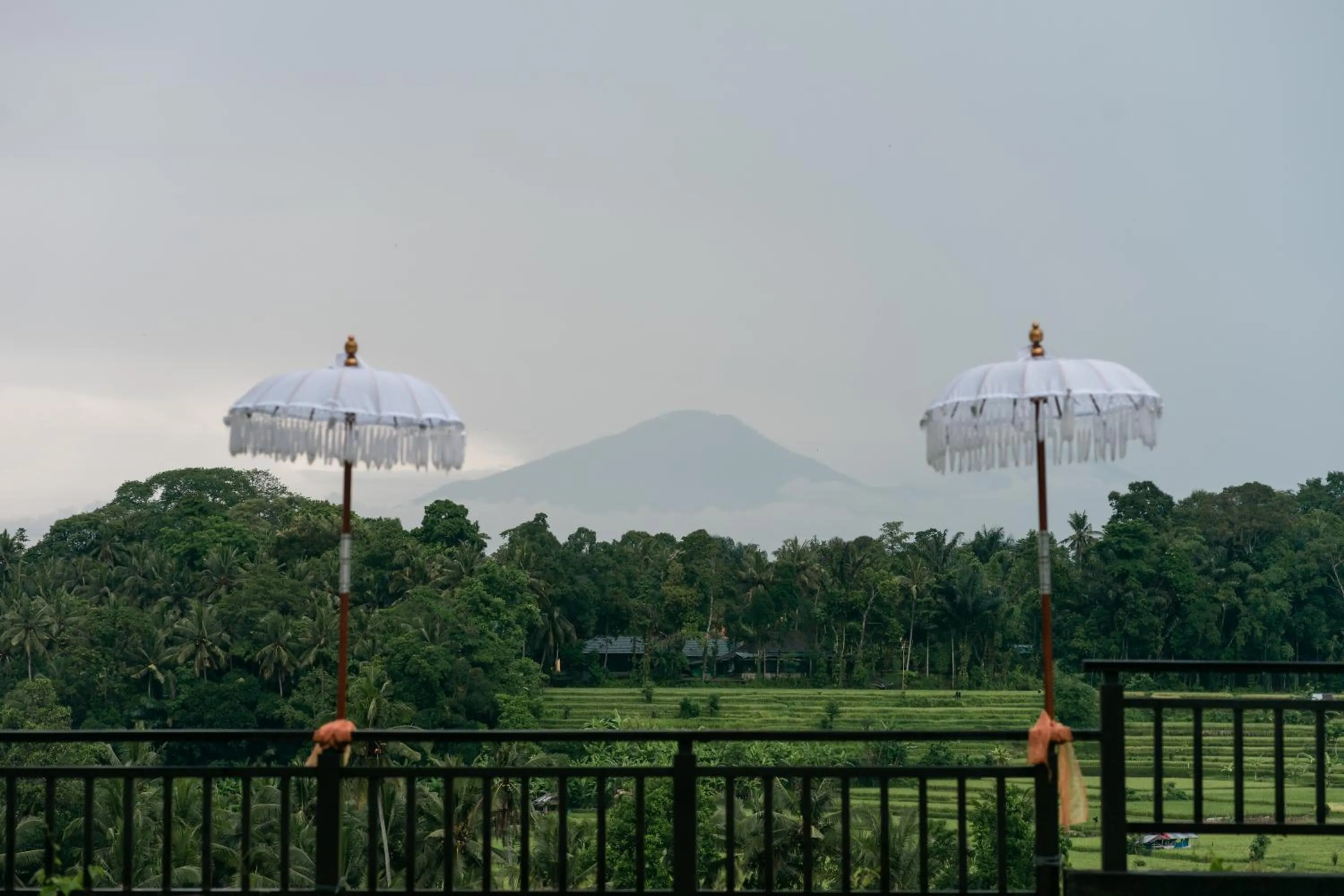 View (from property/room) in The Samaya Ubud