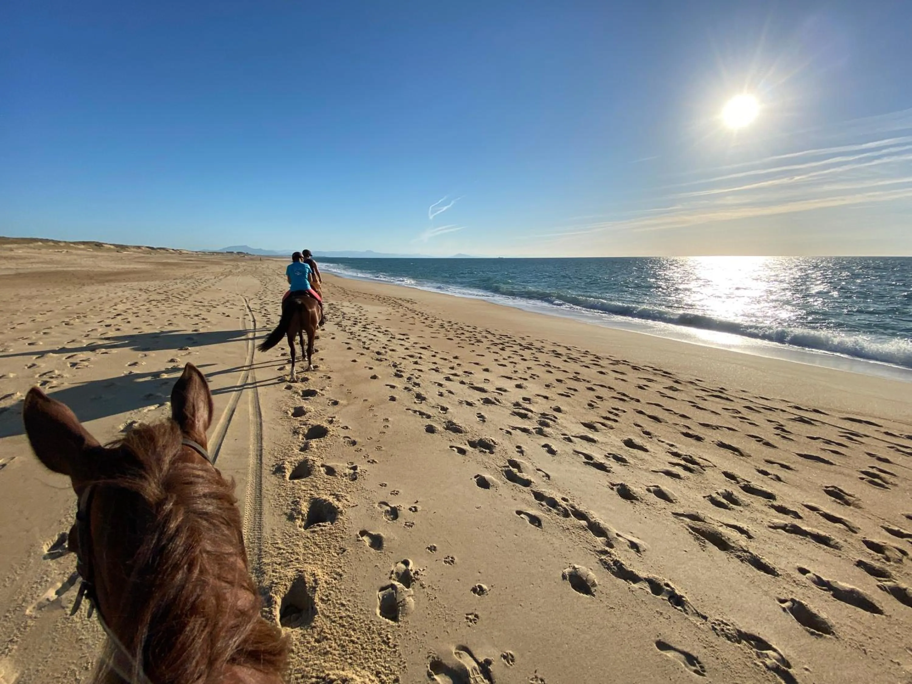People in Green Resort