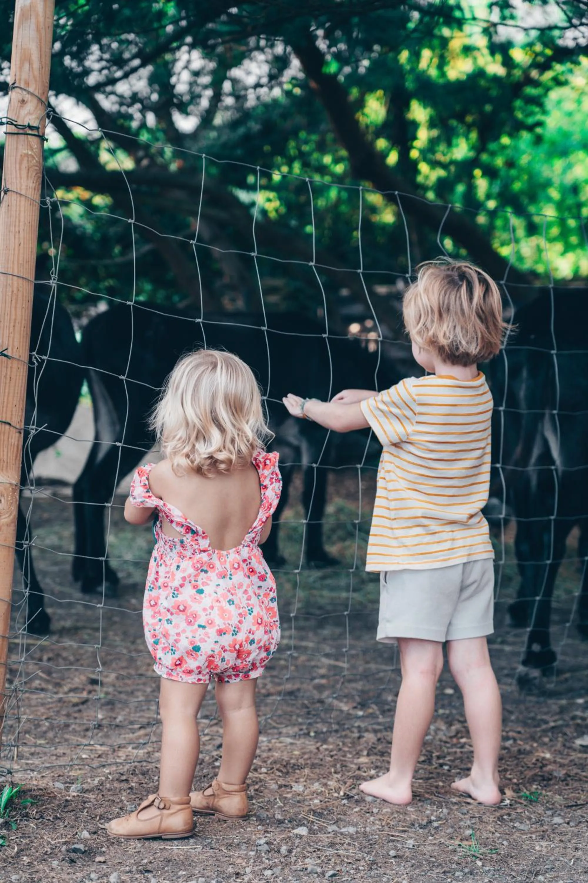 Kids's club in Green Resort