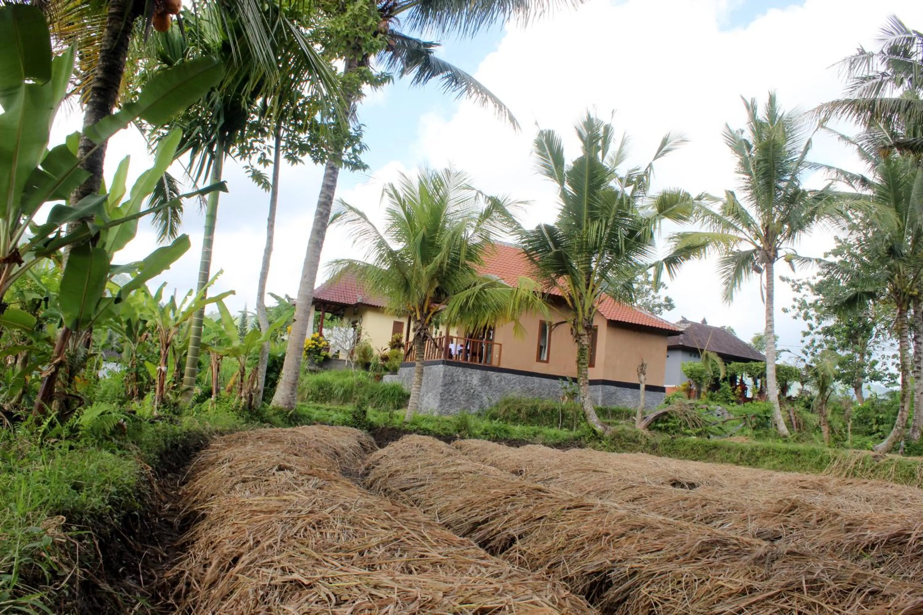 On site in Maha Neka Villa