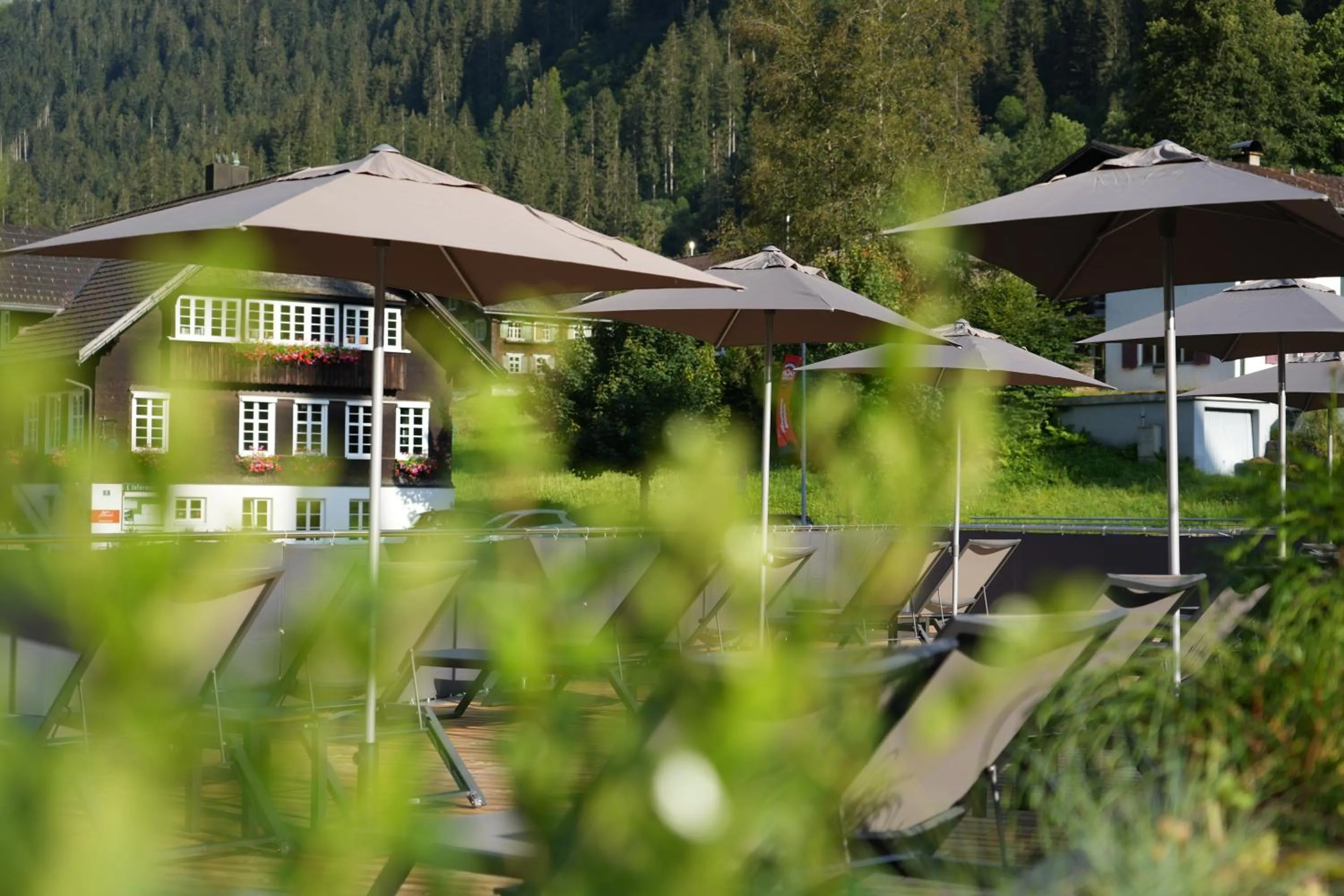 Balcony/Terrace in Hotel Bergkristall
