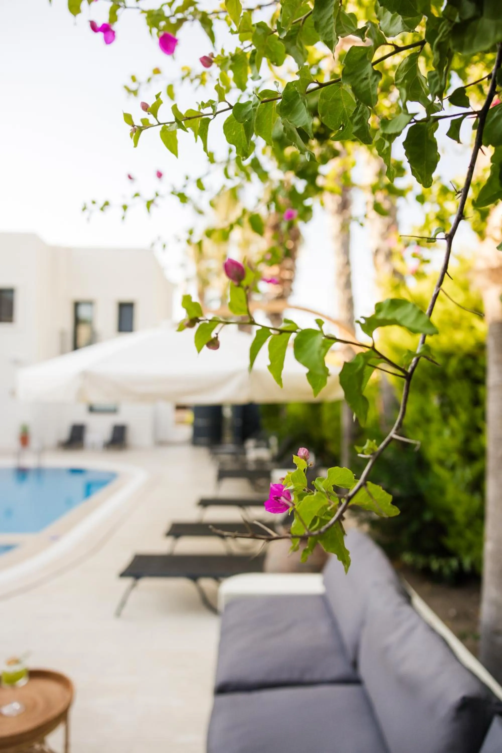 Garden in Bitez Corner Boutique Hotel