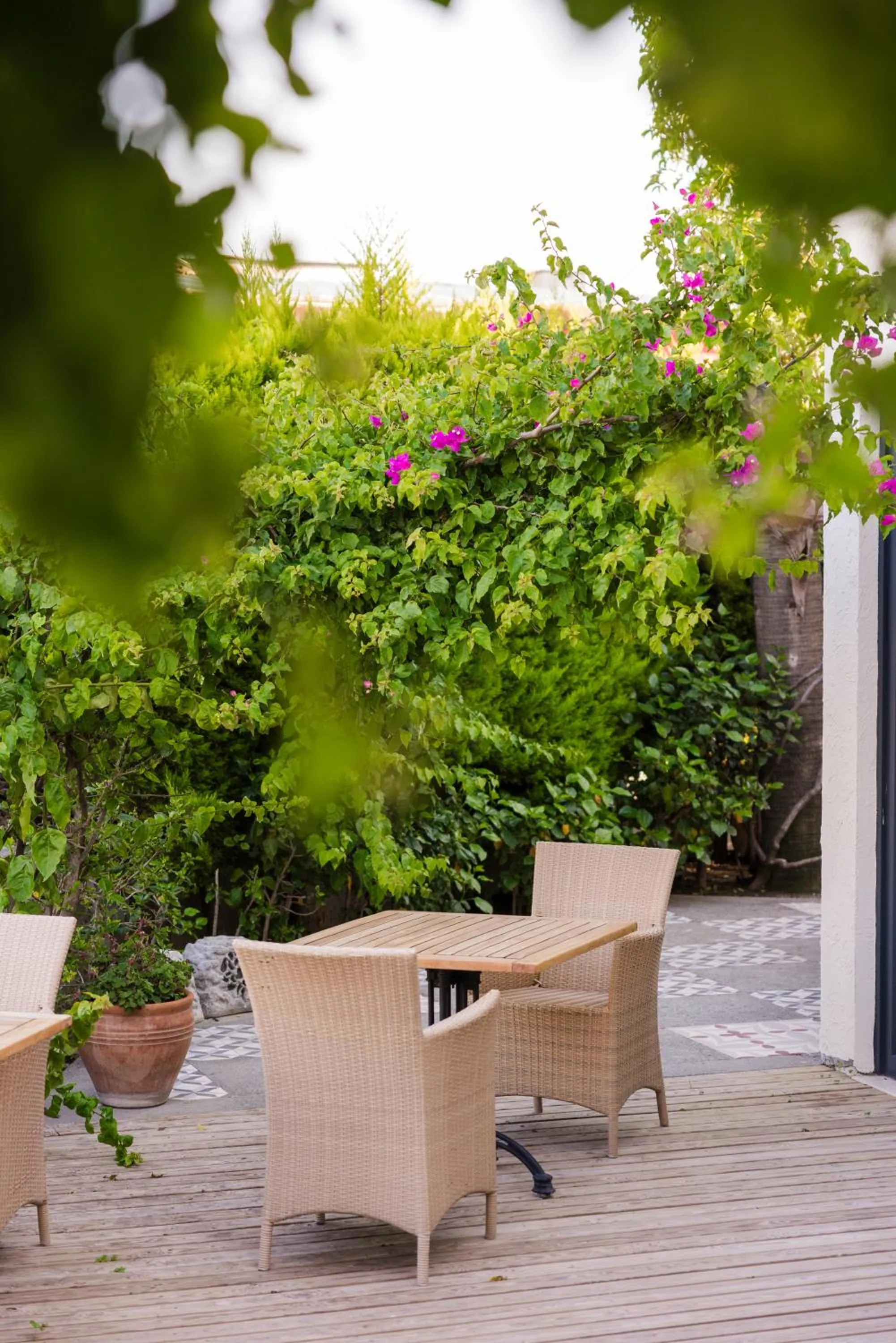 Restaurant/places to eat in Bitez Corner Boutique Hotel