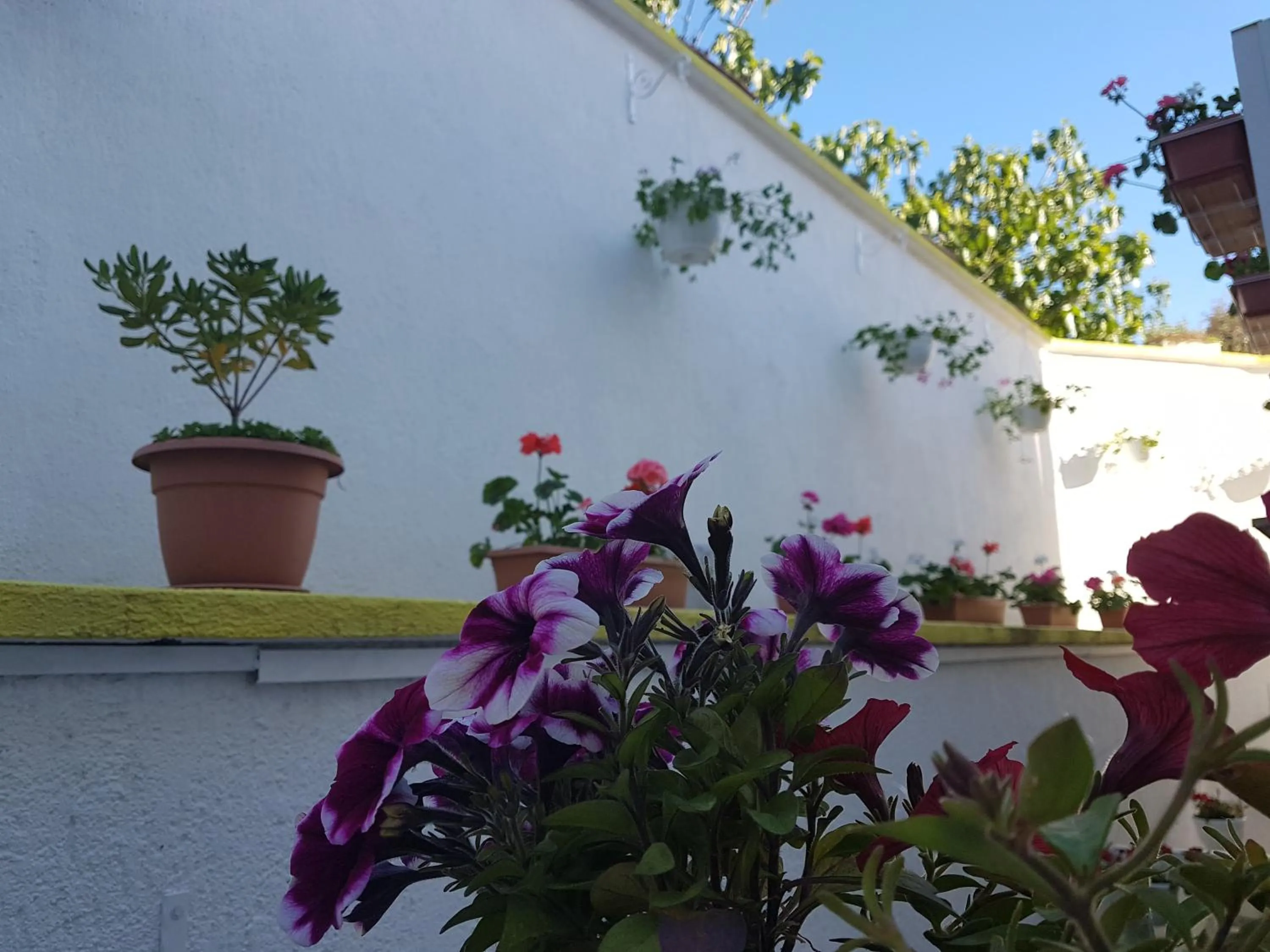 Property building in Hotel Argentum