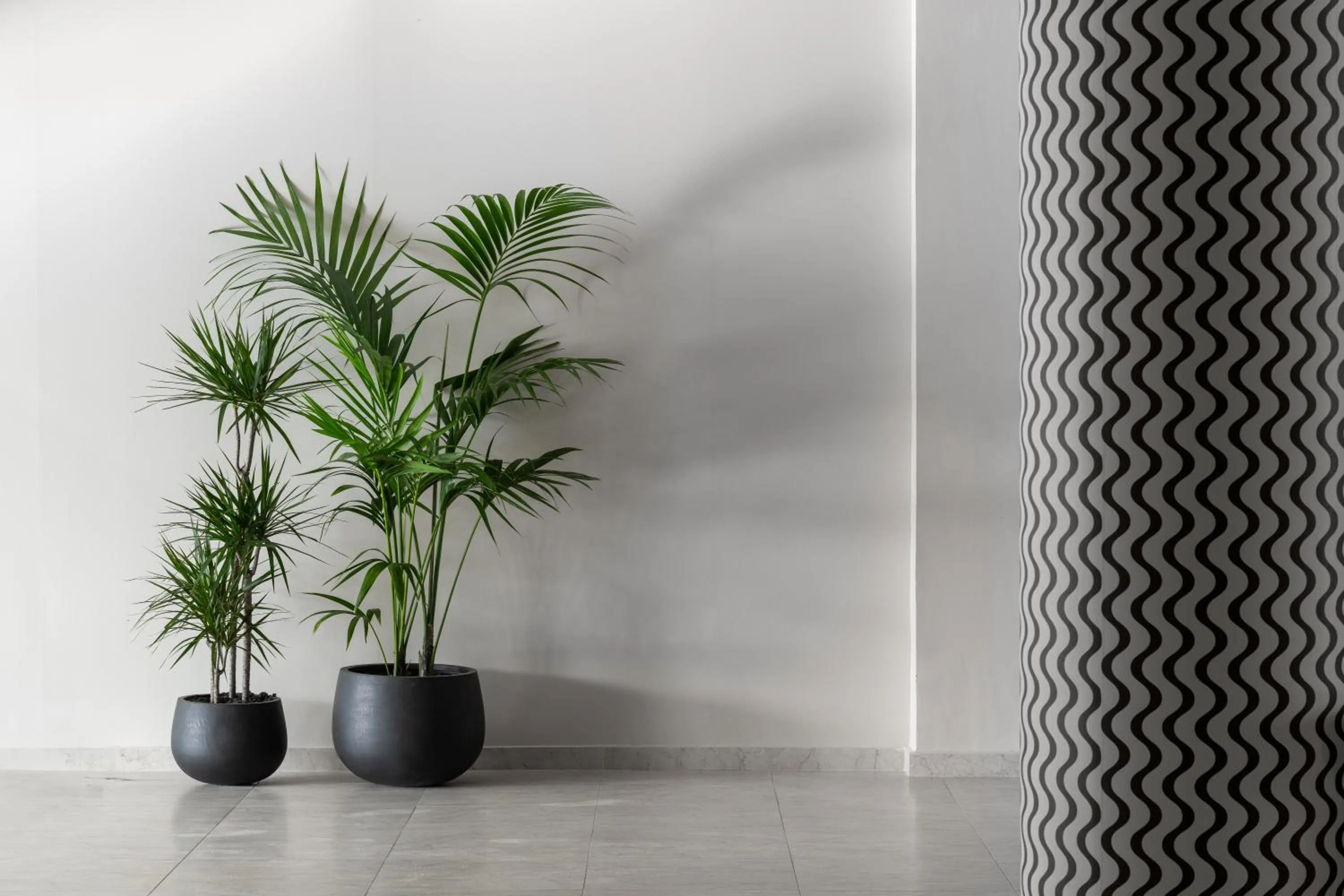 Lobby or reception in Paralos Rodos Lifestyle