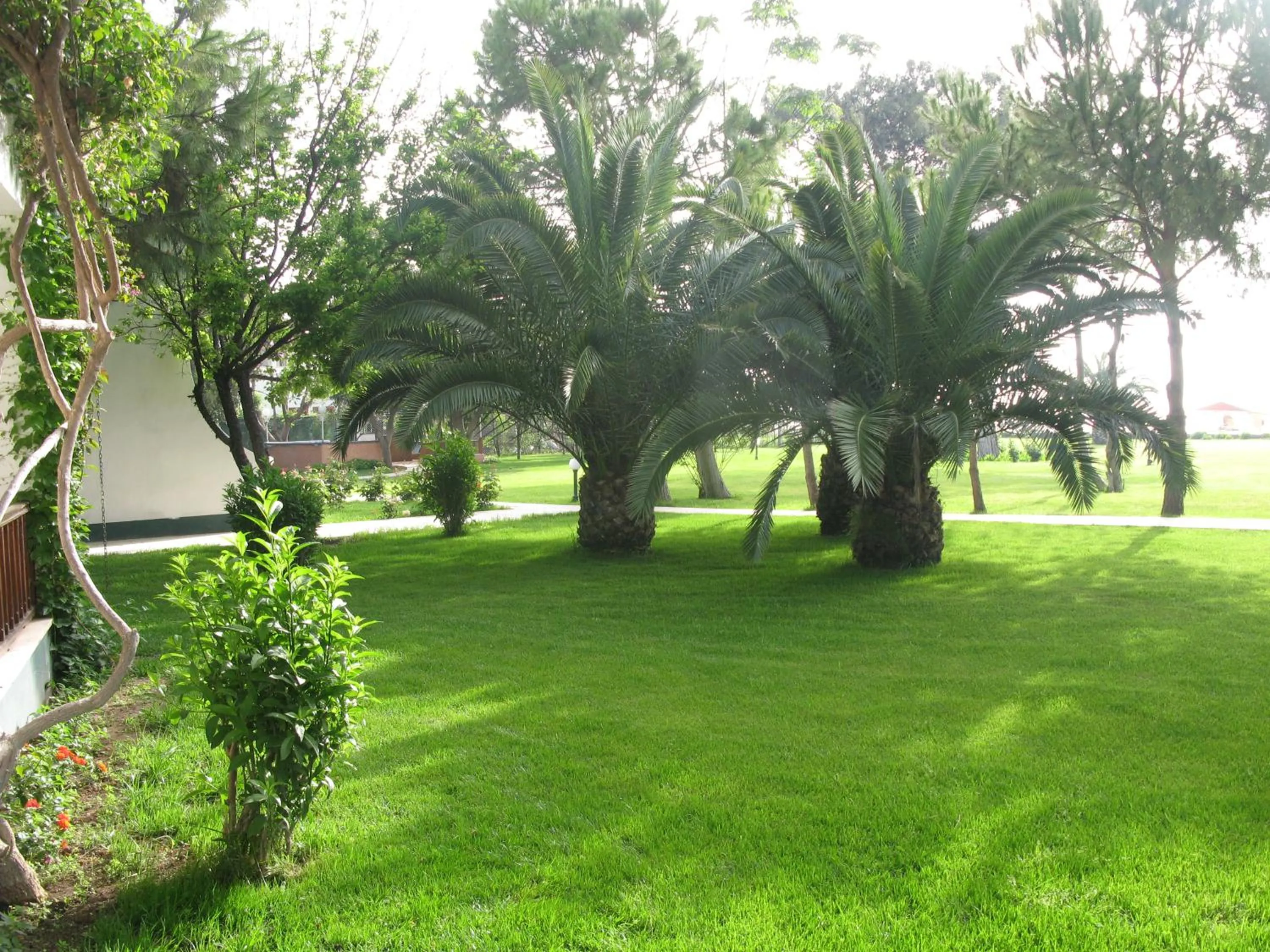 Garden in Club Boran Mare Beach - All Inclusive