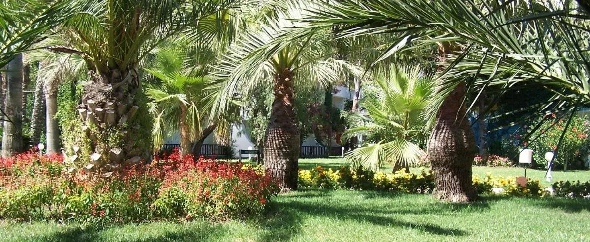 Garden in Club Boran Mare Beach - All Inclusive