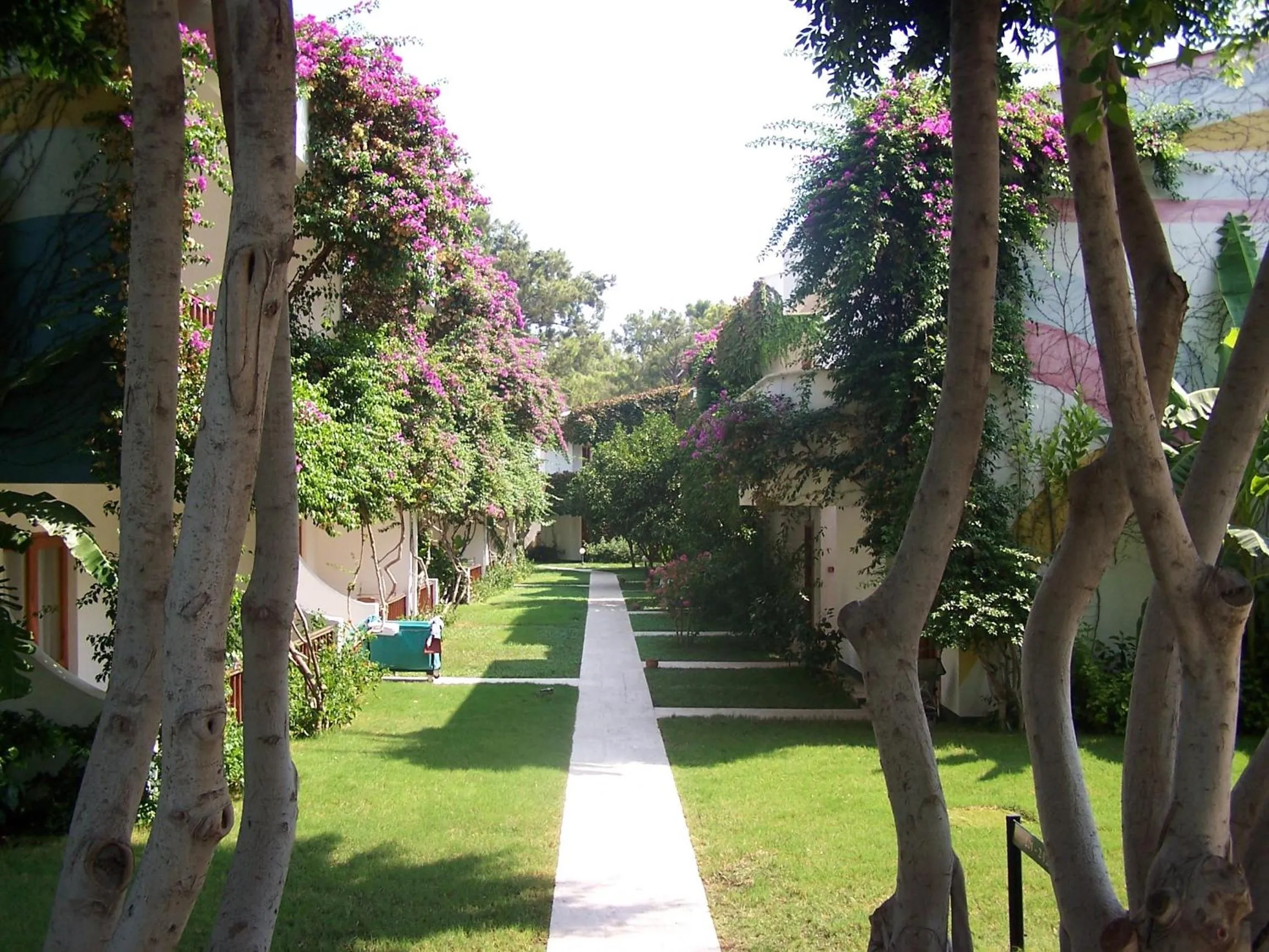 Garden in Club Boran Mare Beach - All Inclusive