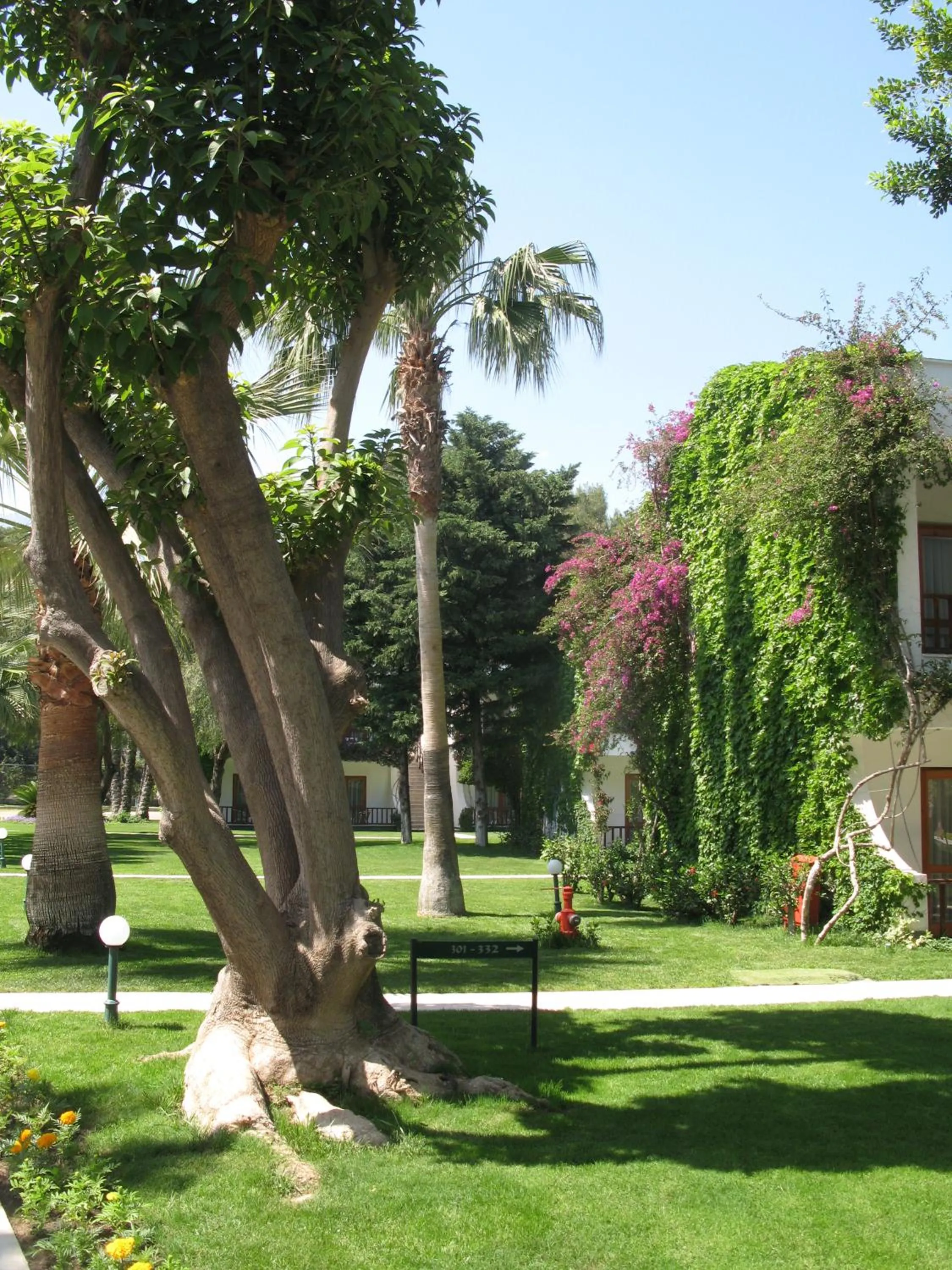 Garden in Club Boran Mare Beach - All Inclusive