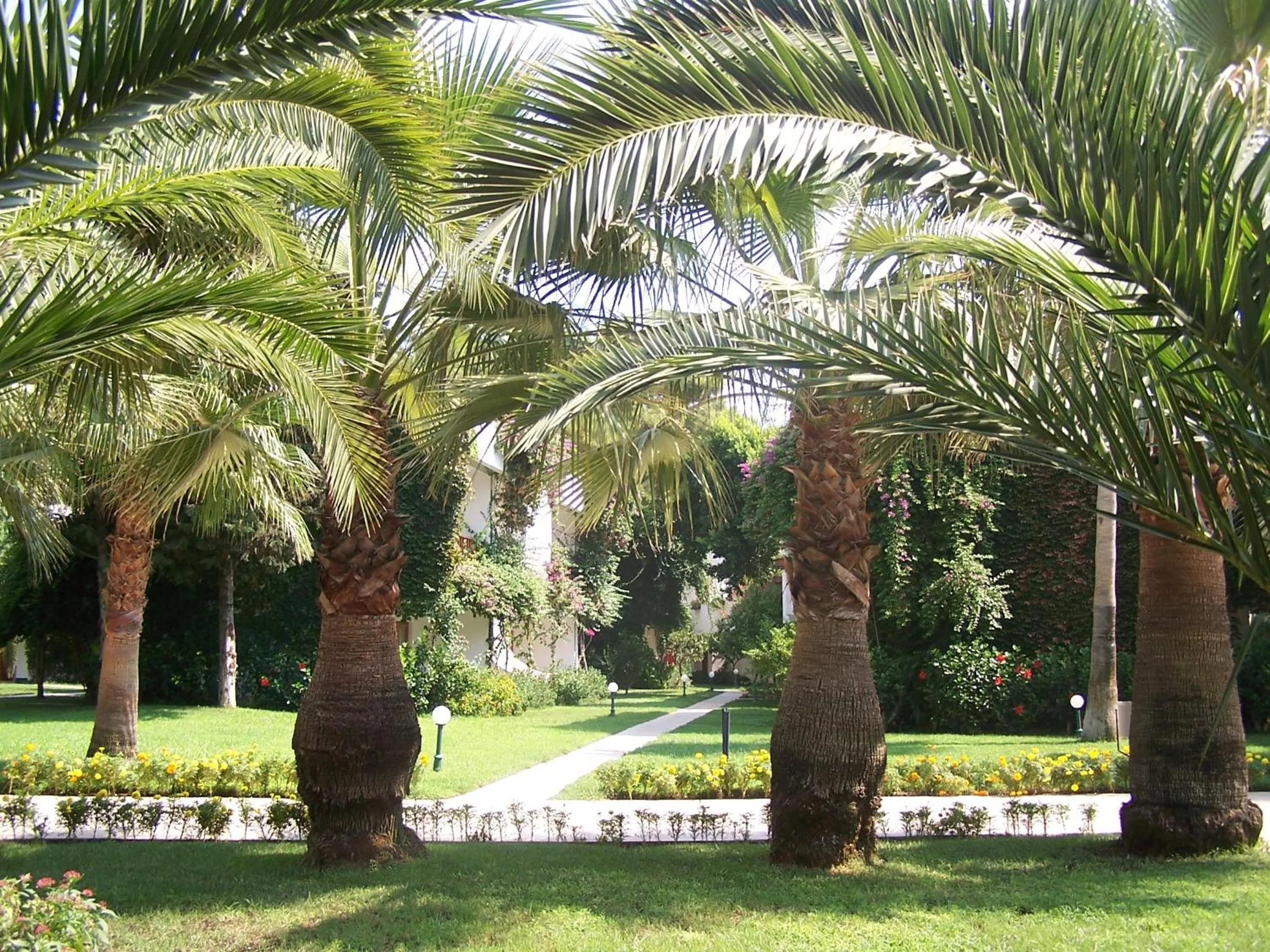 Garden in Club Boran Mare Beach - All Inclusive