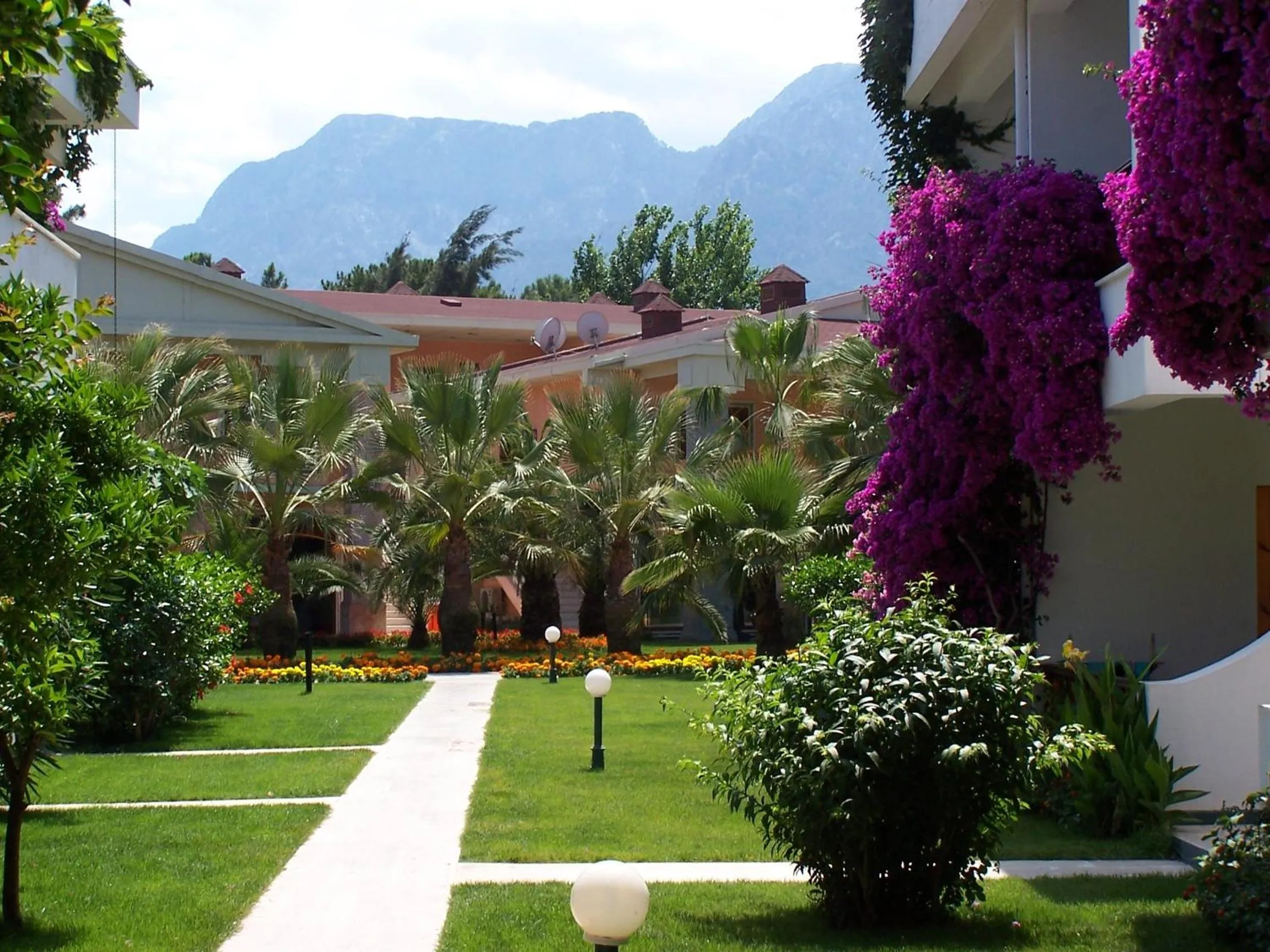 Garden in Club Boran Mare Beach - All Inclusive