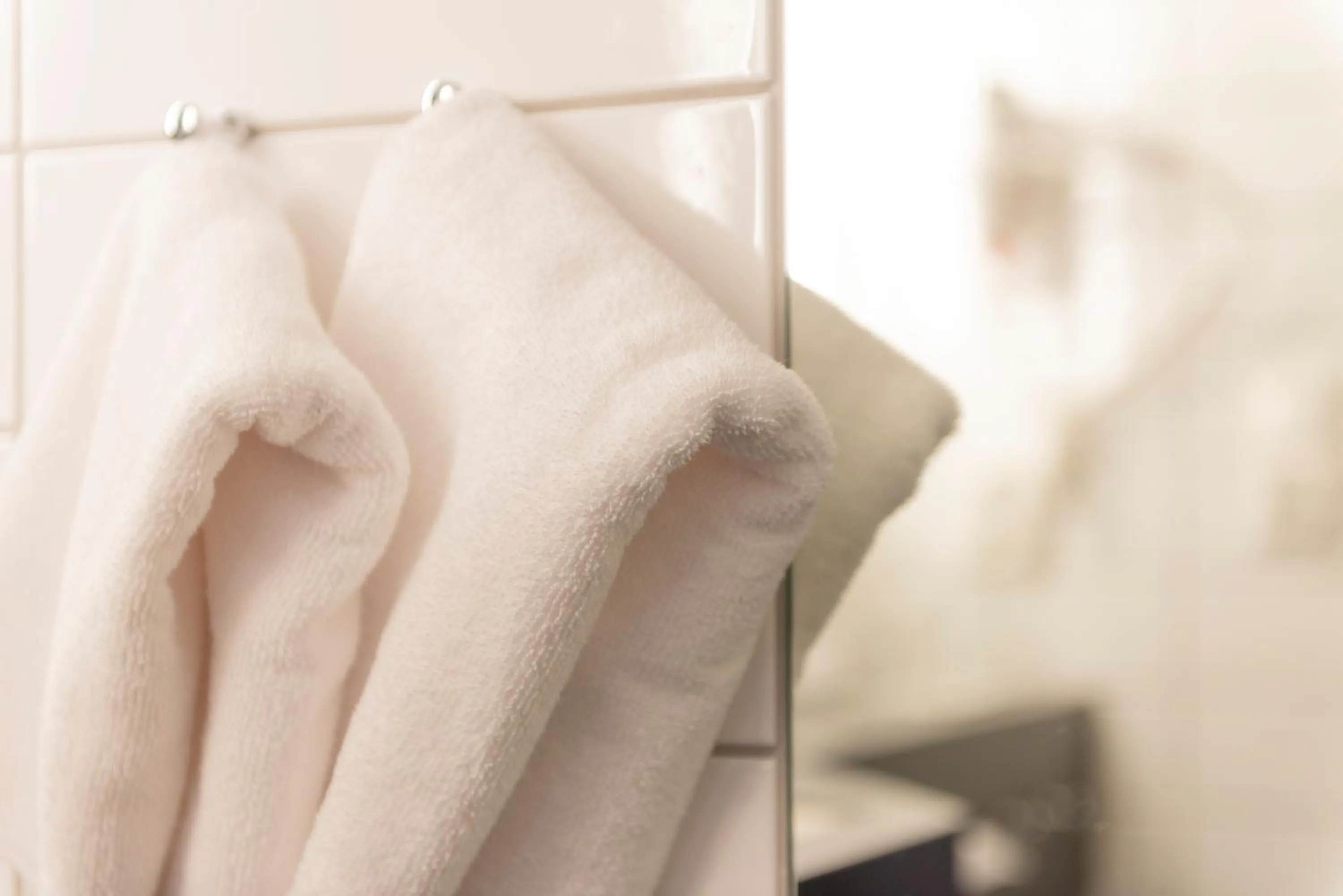 towels in Scandic Meyergården