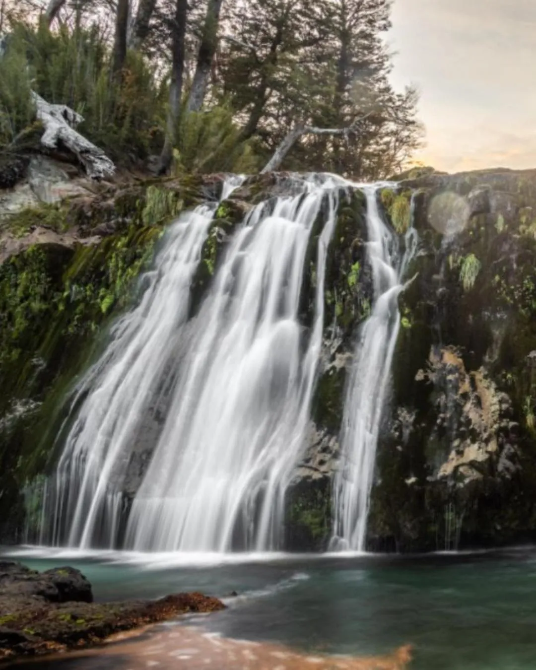 Activities in Correntoso Lake & River Hotel