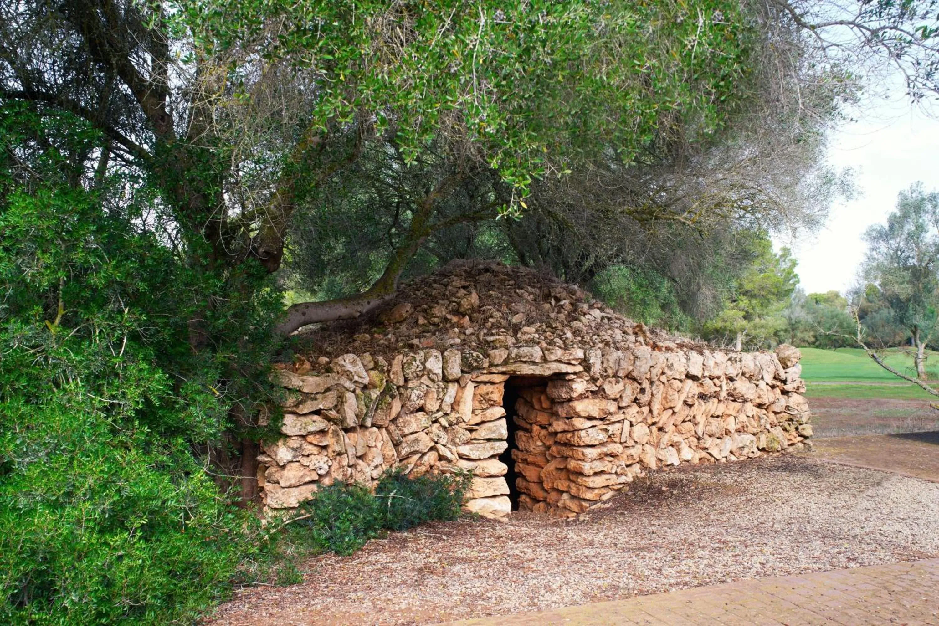 Other in Marriott’s Club Son Antem