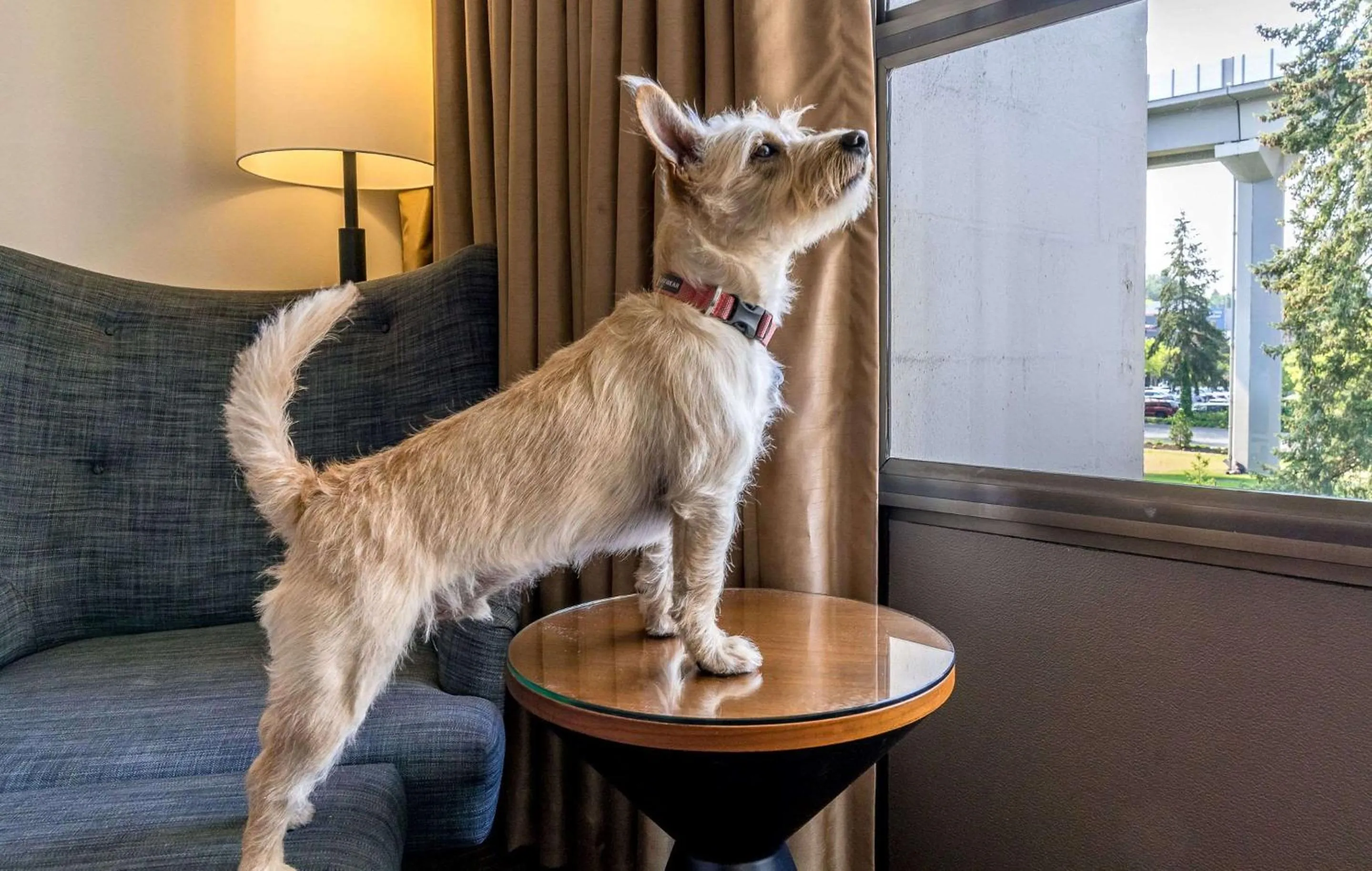 Other in Hotel 116, A Coast Hotel Bellevue