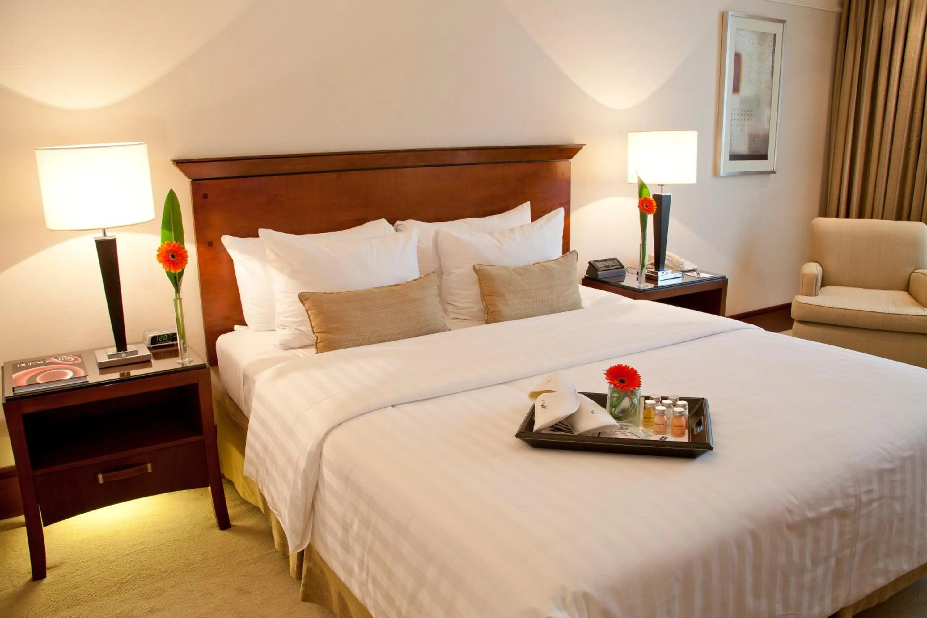 Executive Double Room in Regal Pacific Puerto Madero