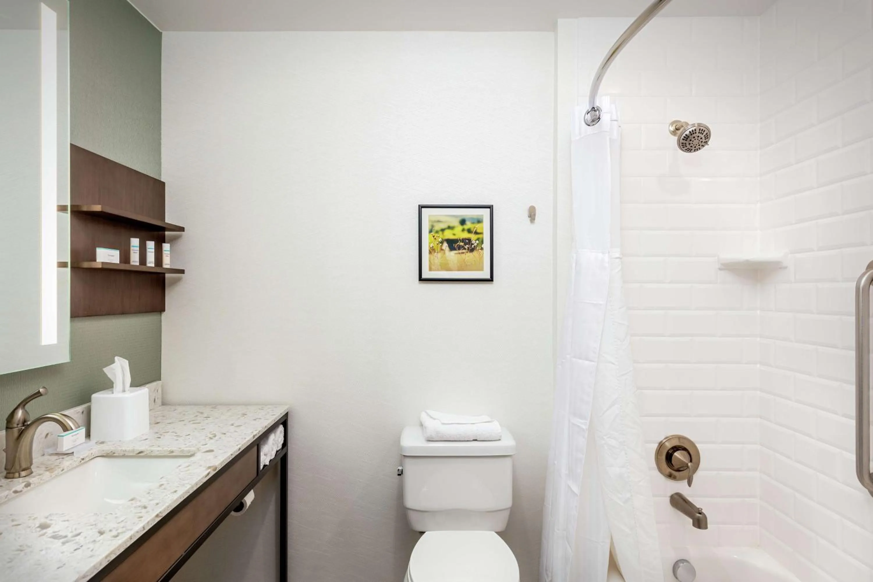 Bathroom in Hilton Garden Inn Davis Downtown