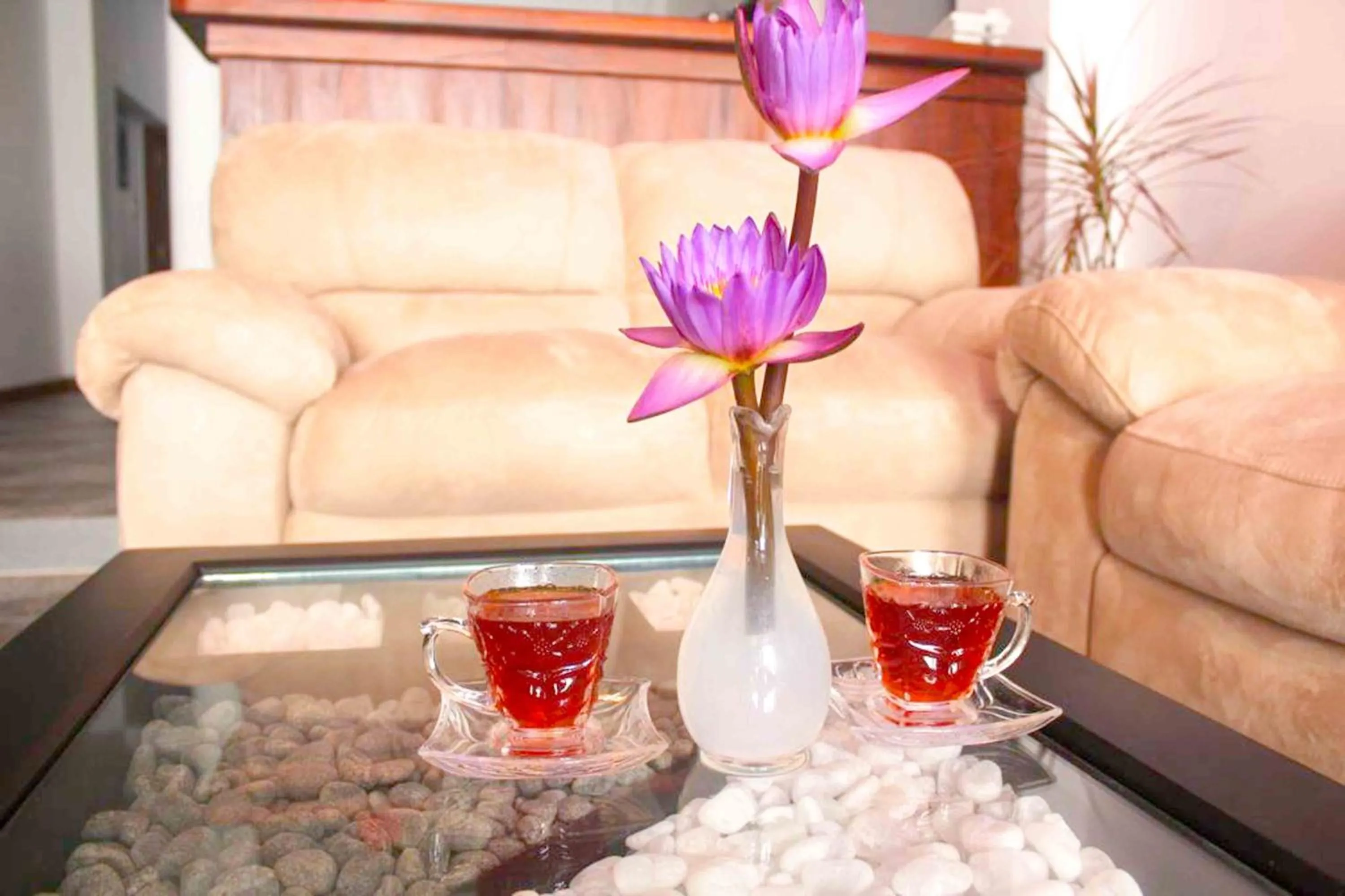 Communal lounge/ TV room in Dream Villa Galle Fort