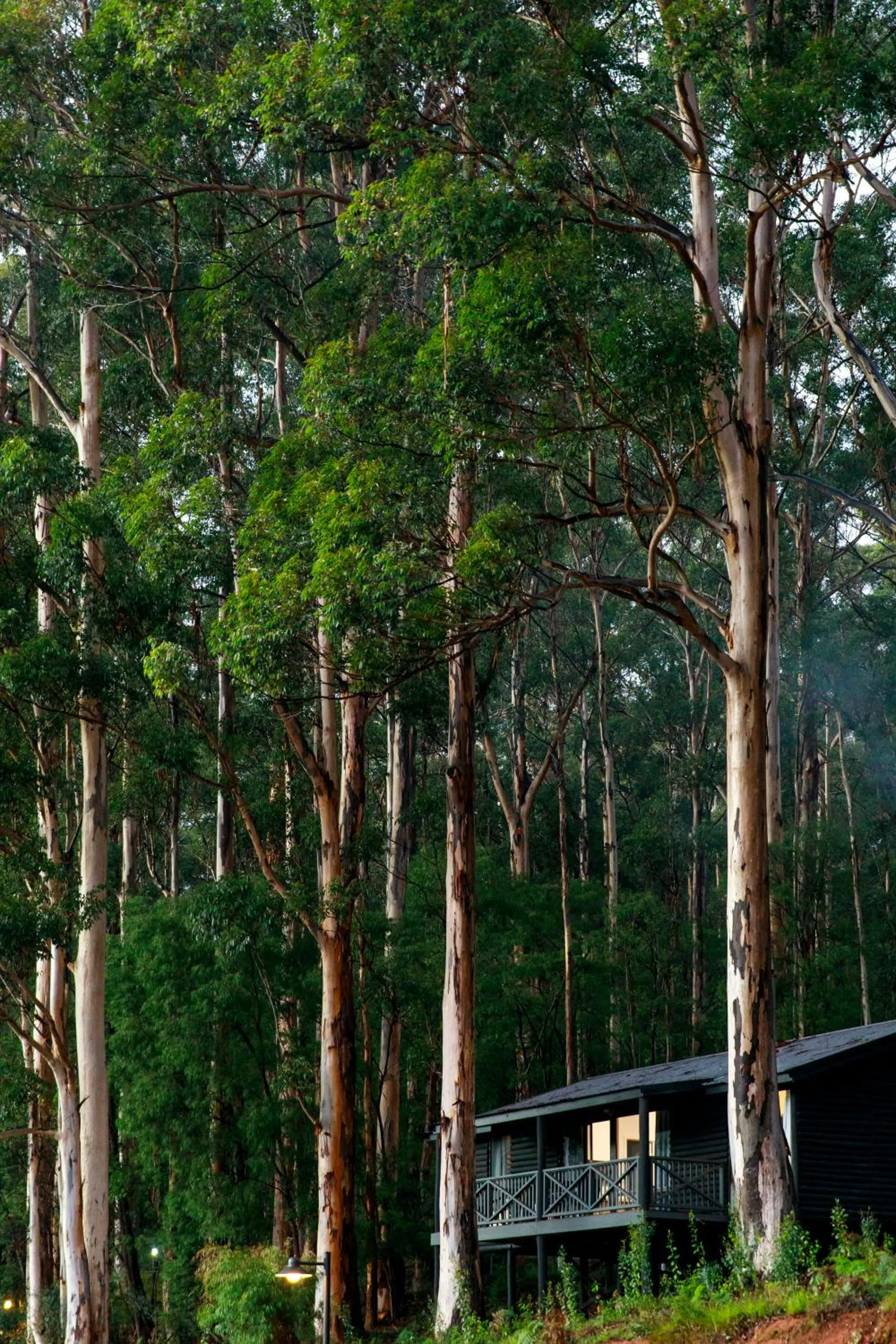 RAC Karri Valley Resort