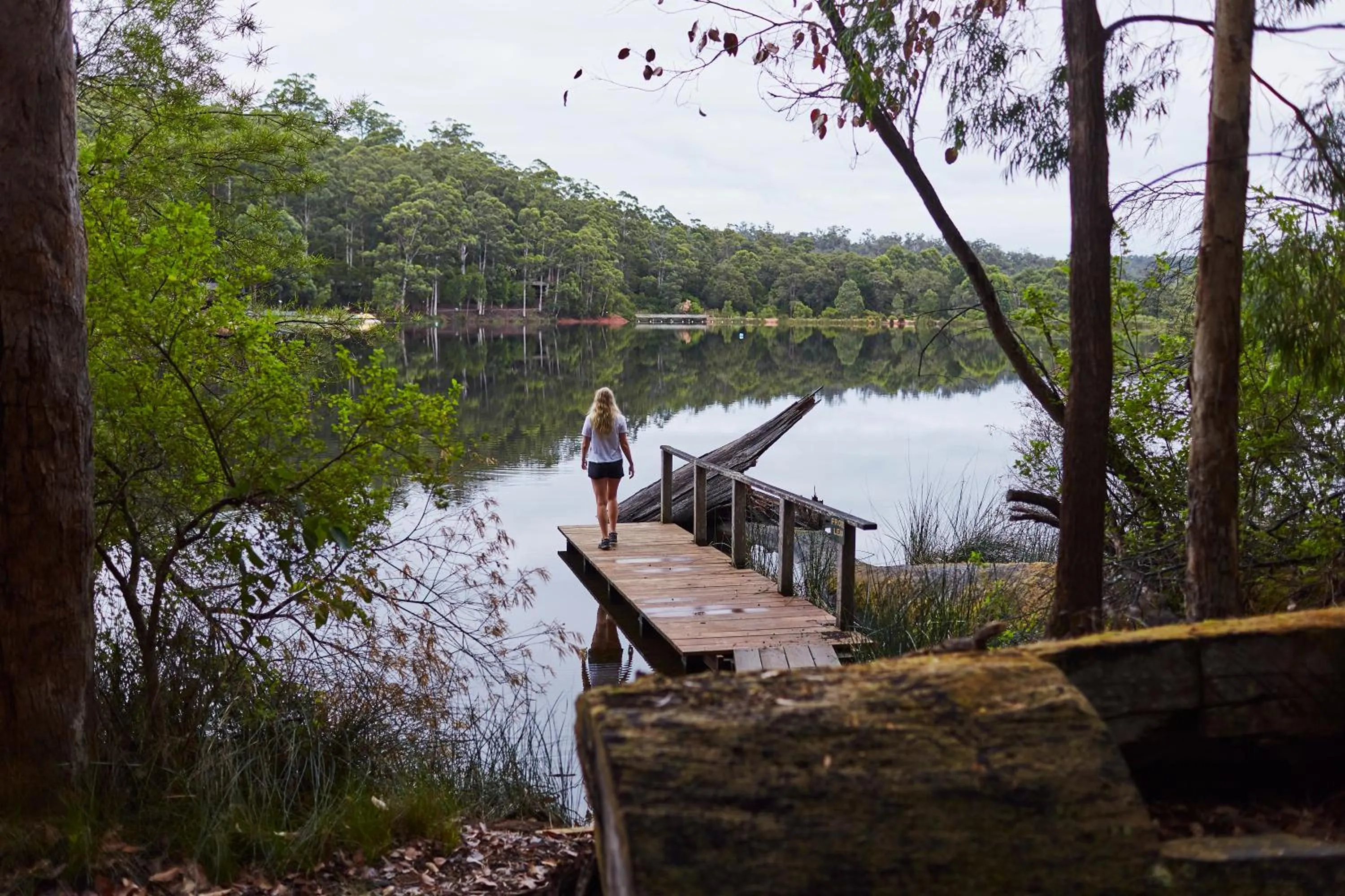 Lake view in RAC Karri Valley Resort