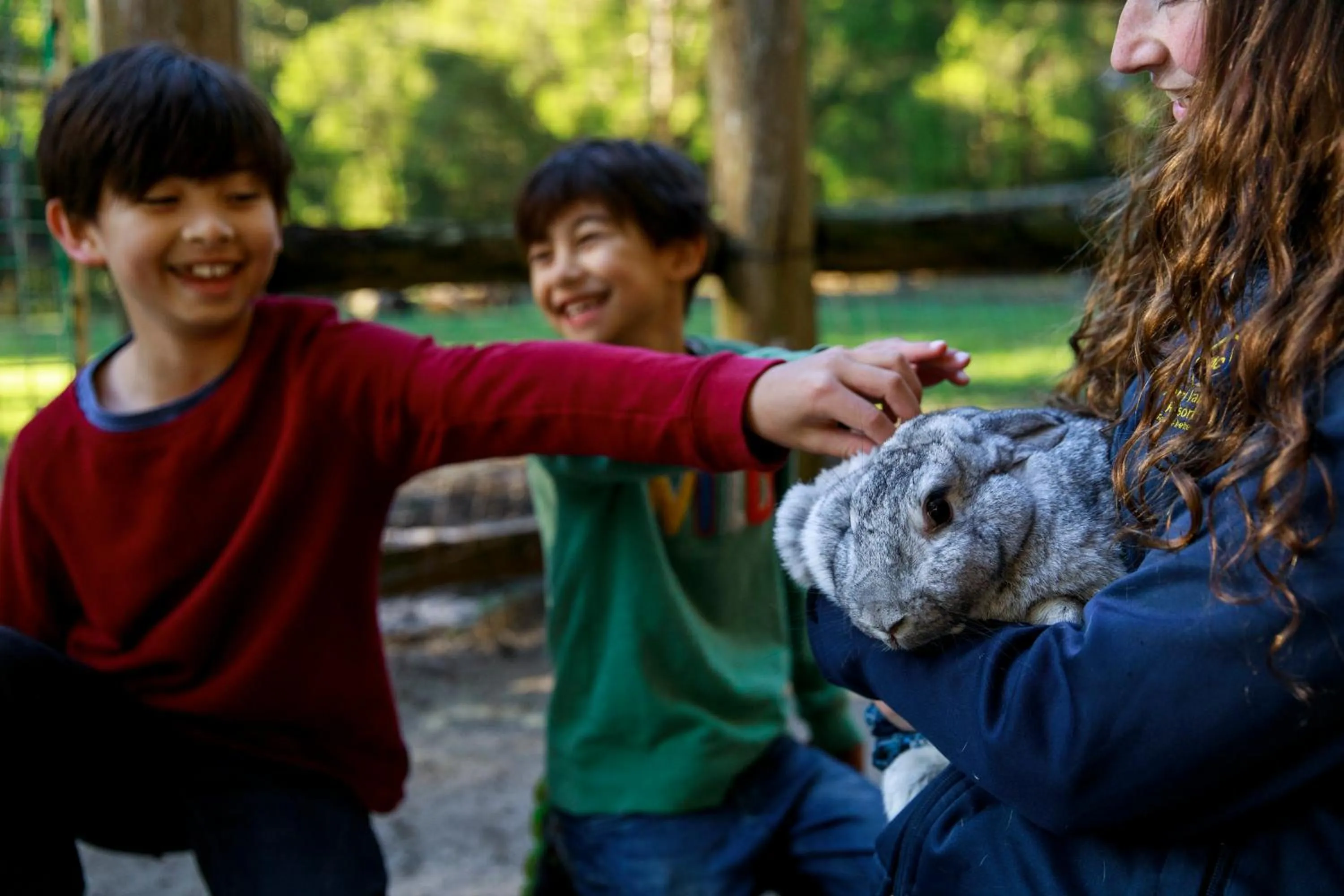 RAC Karri Valley Resort