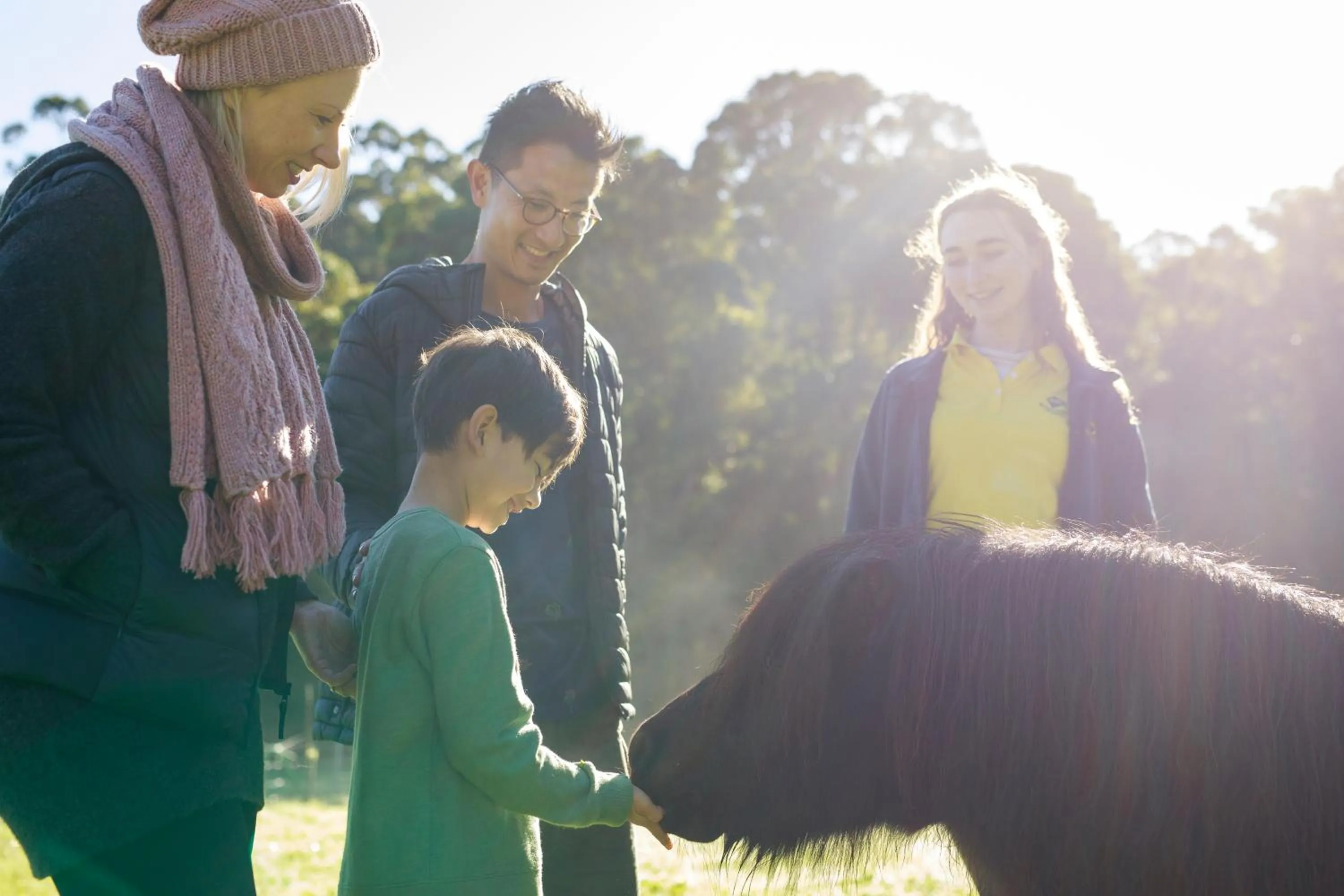 RAC Karri Valley Resort