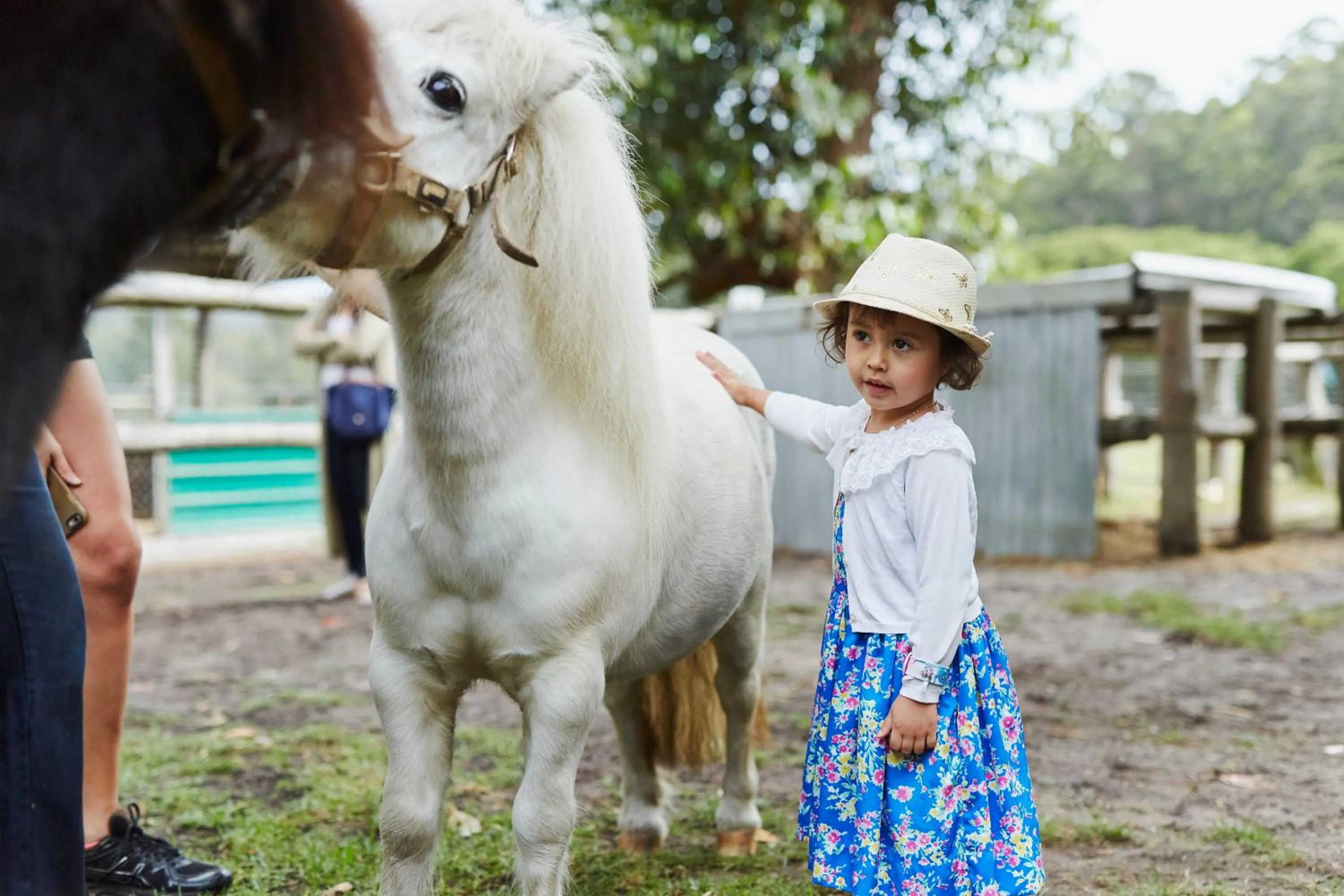 Animals in RAC Karri Valley Resort
