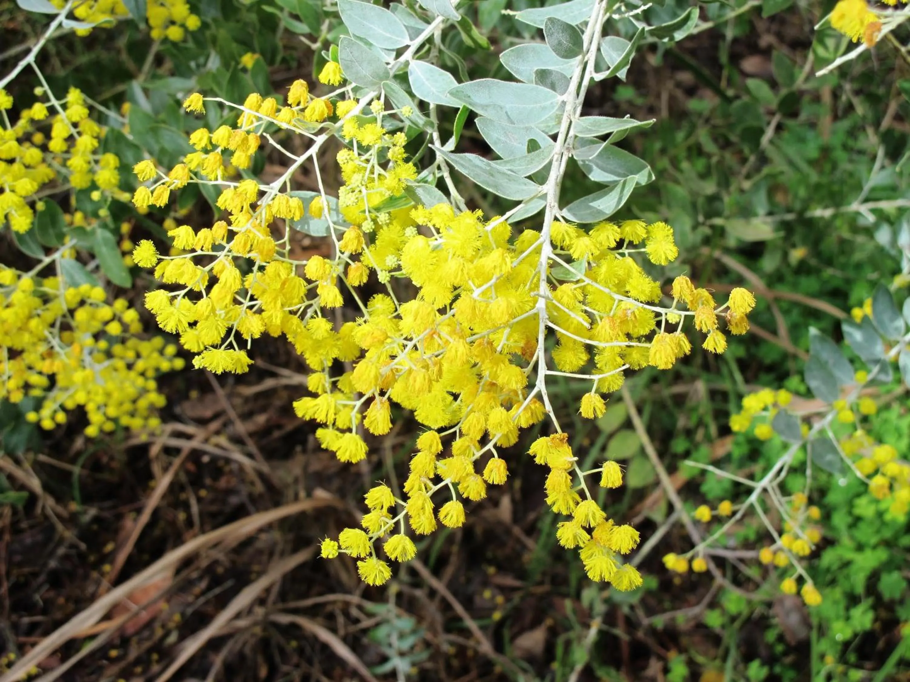 Other in Margarets In Town Apartments