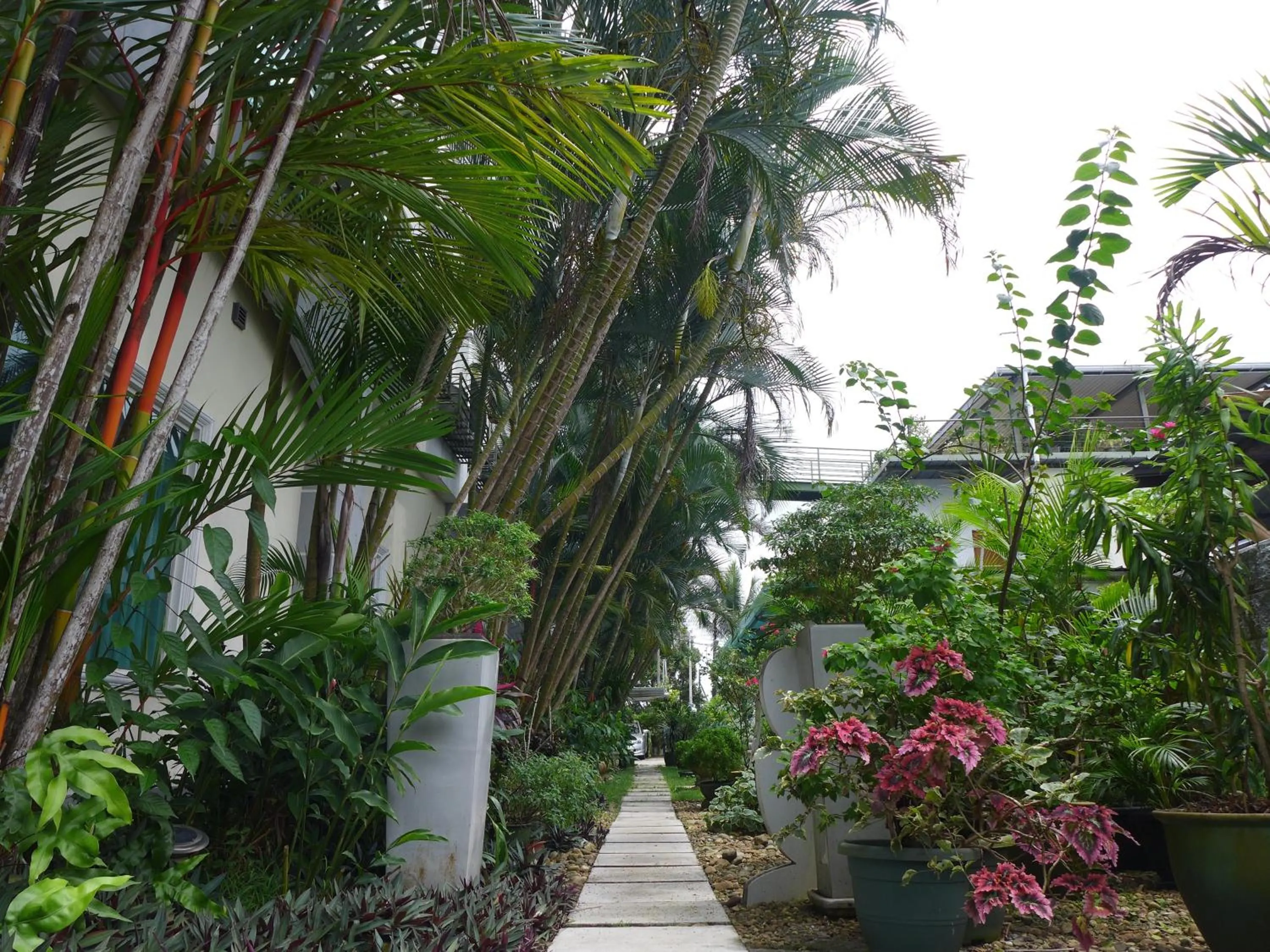 Natural landscape in Wesberly Apartments