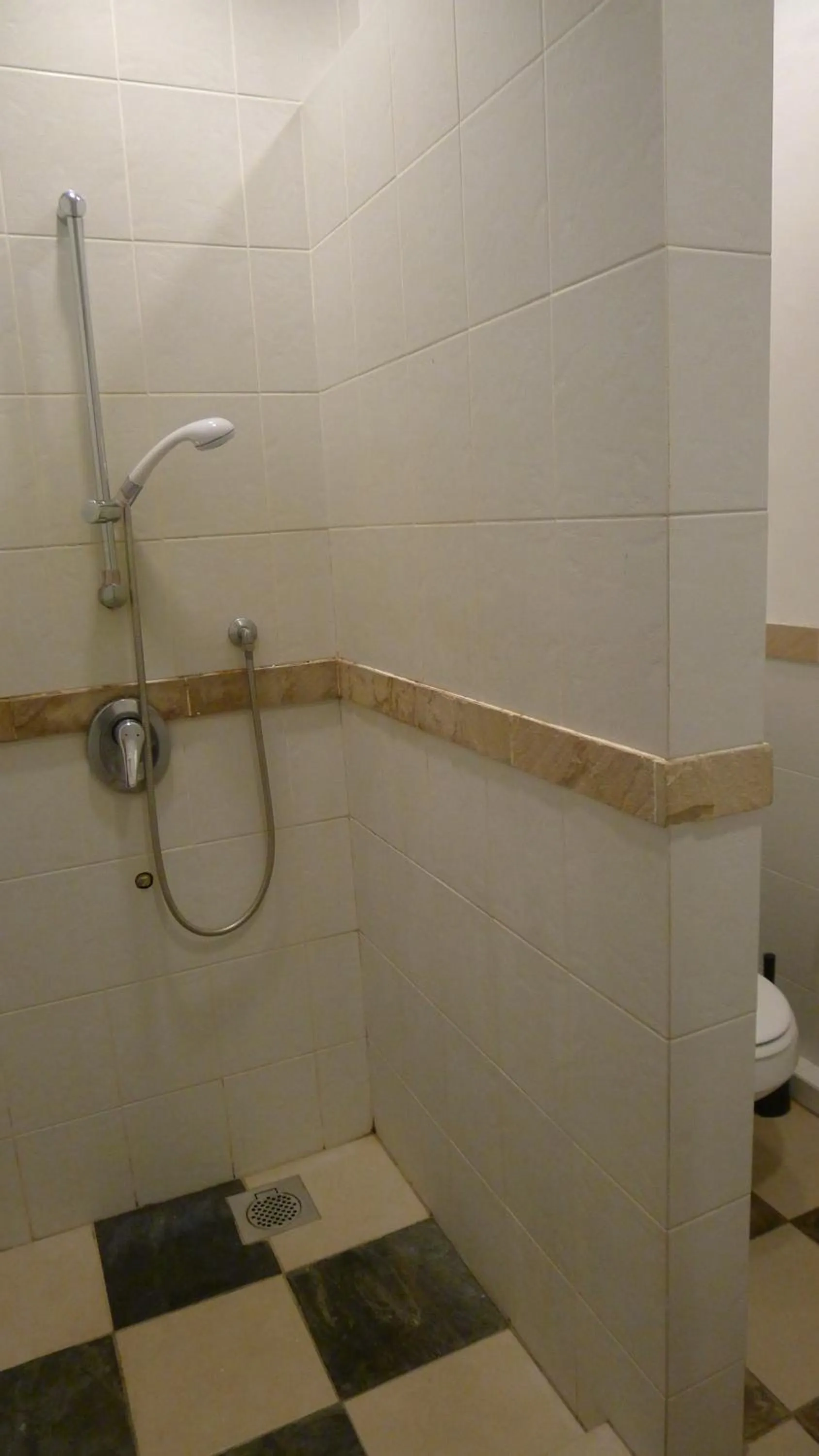 Shower in Wesberly Apartments