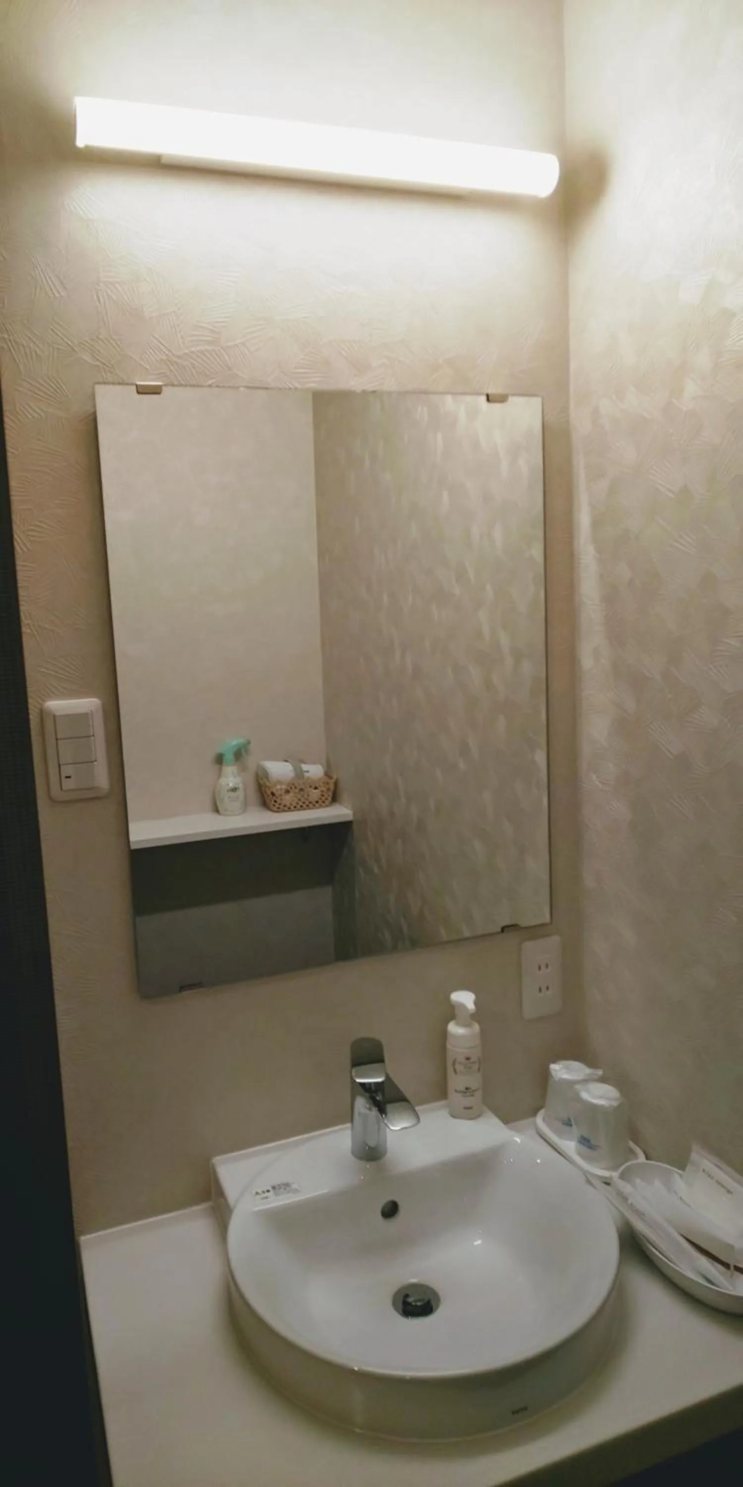 Other in Ueno First City Hotel