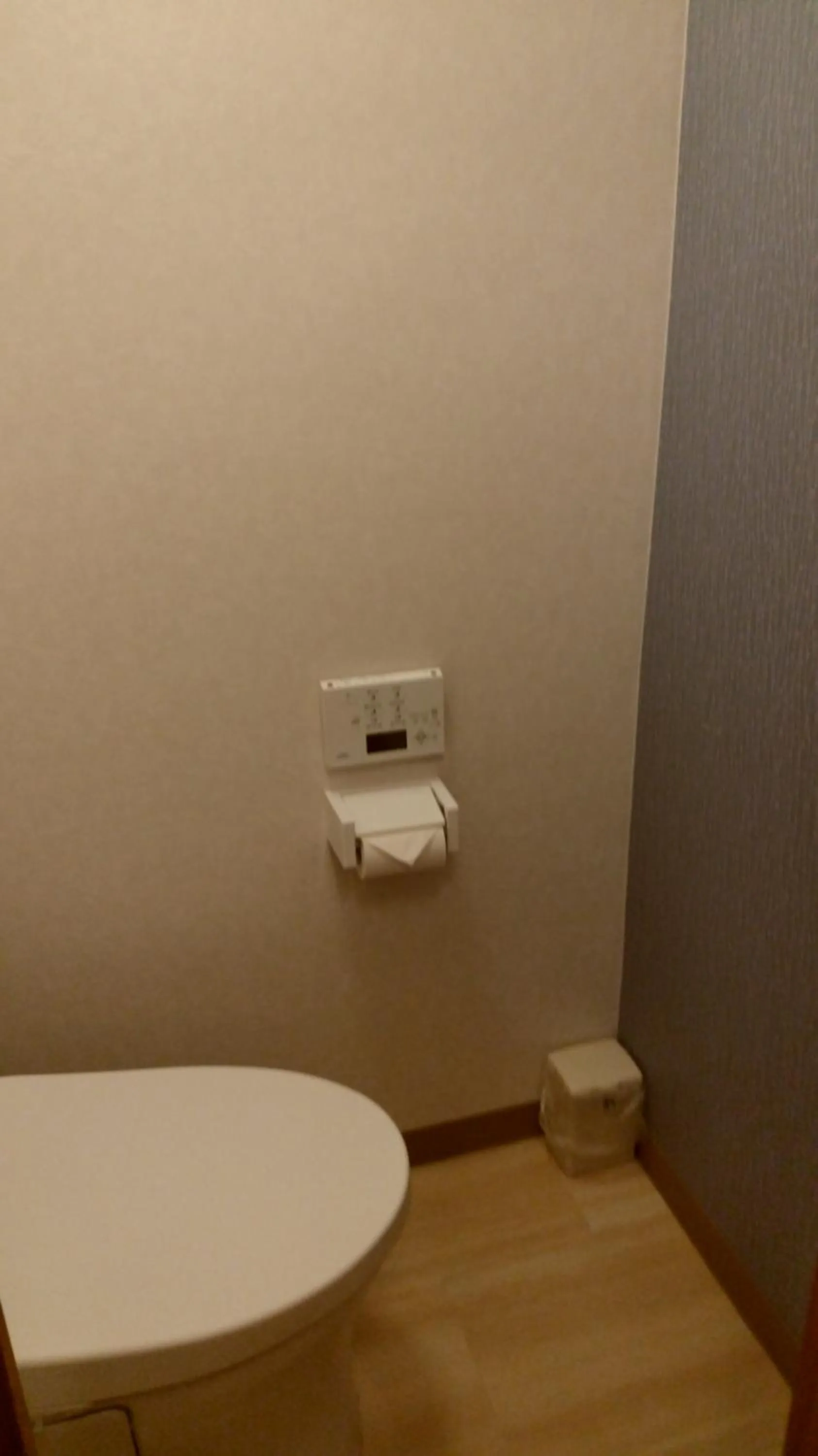 Photo of the whole room in Ueno First City Hotel