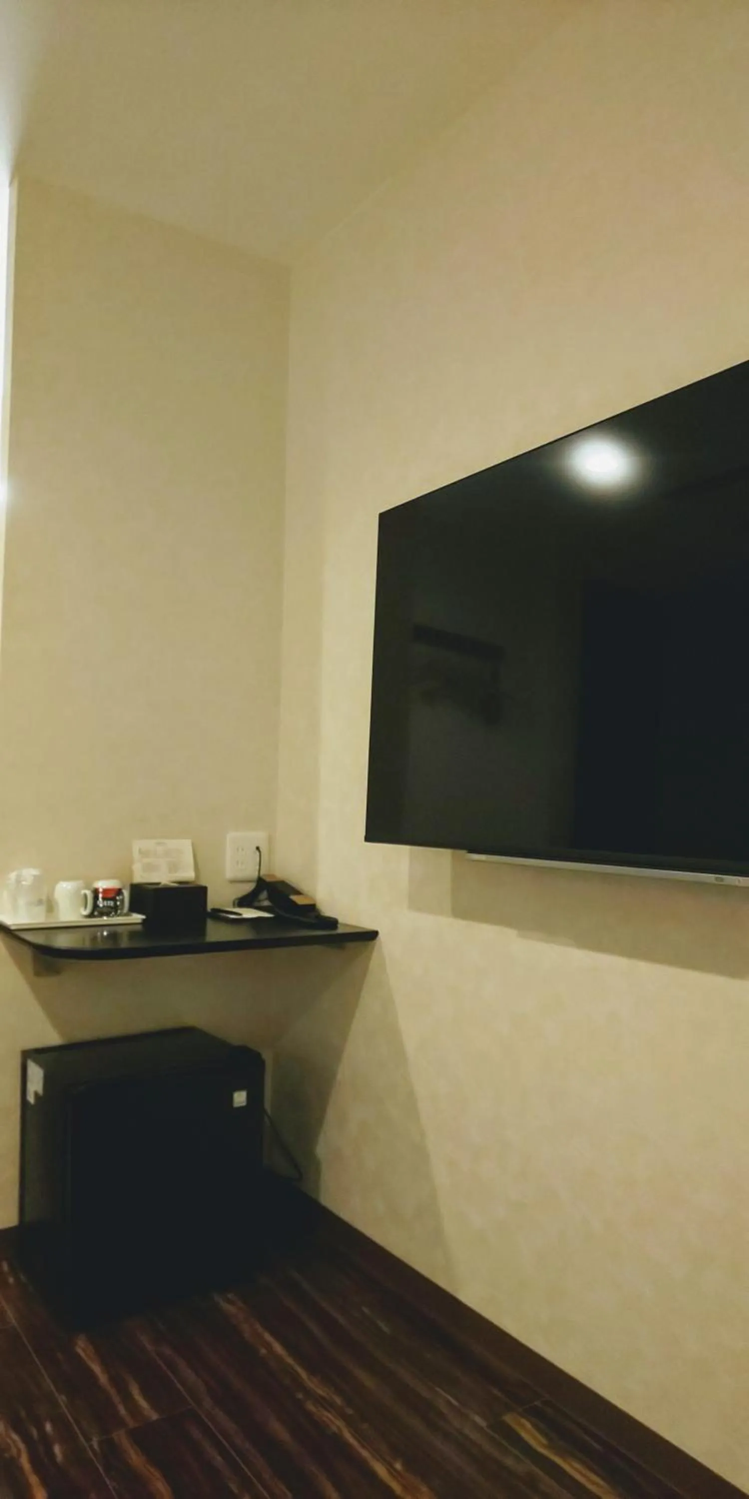 TV and multimedia in Ueno First City Hotel