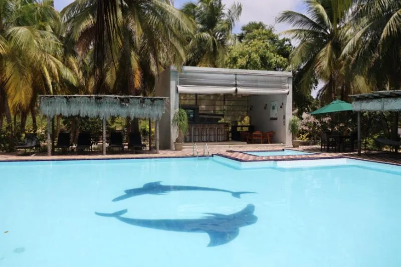 Swimming pool in De Silva Palm Resort