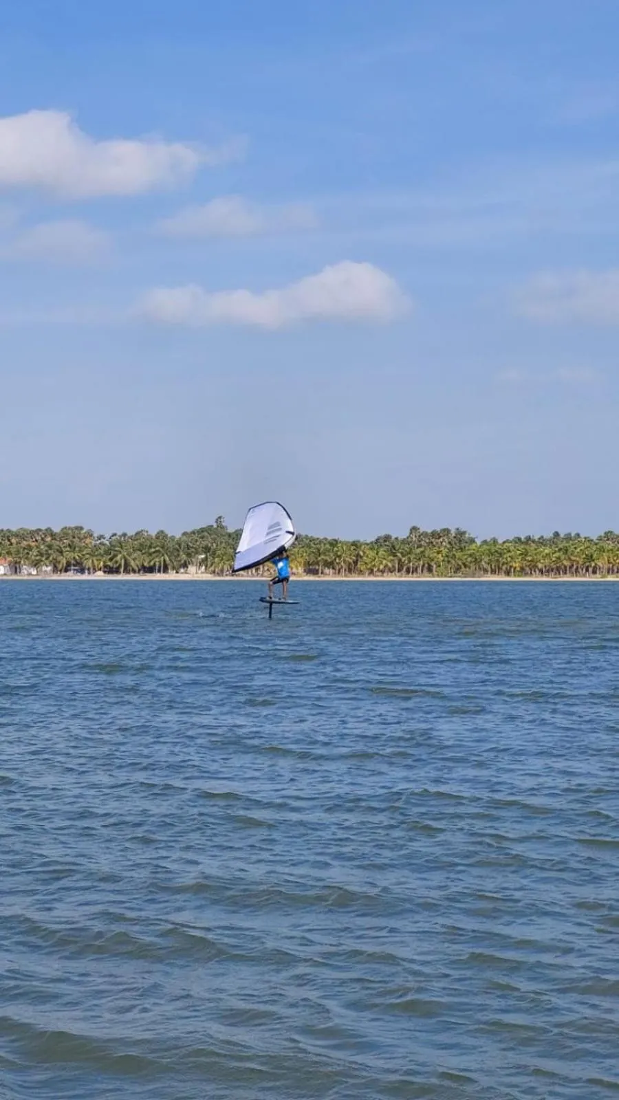 De Silva Palm Resort