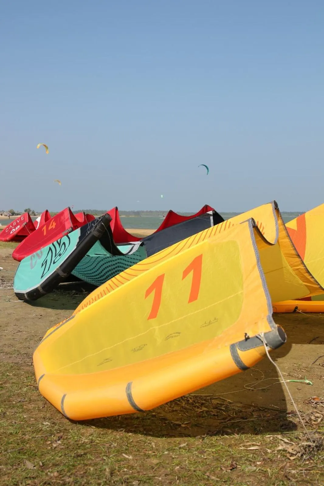 De Silva Palm Resort