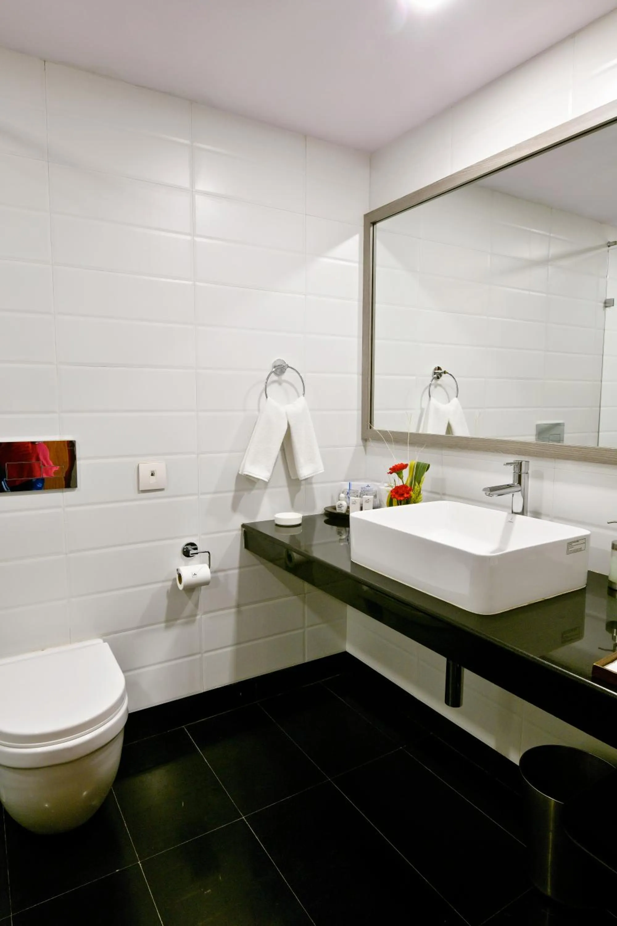 Bathroom in Peerless Hotel Kolkata