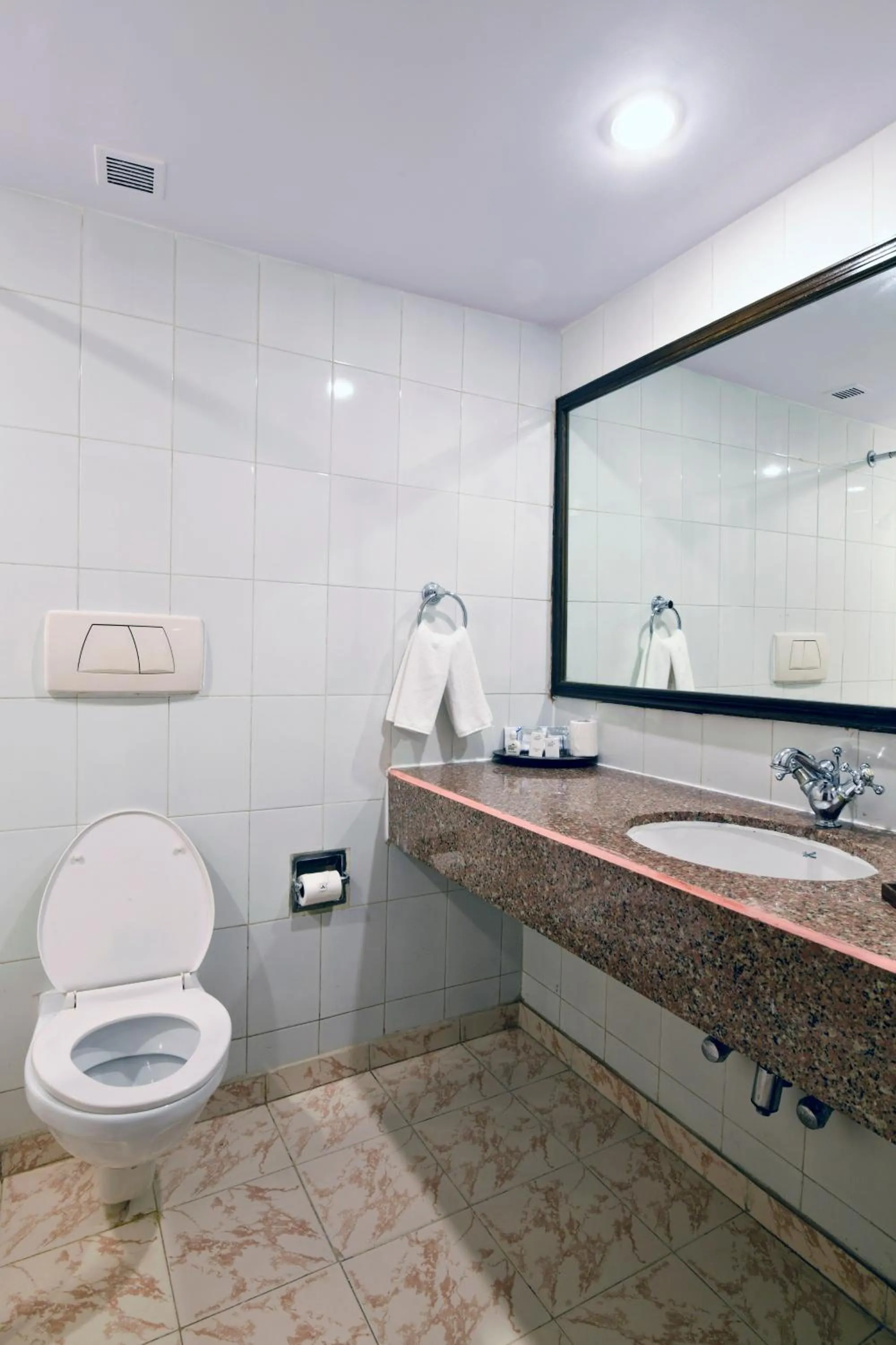 Bathroom in Peerless Hotel Kolkata