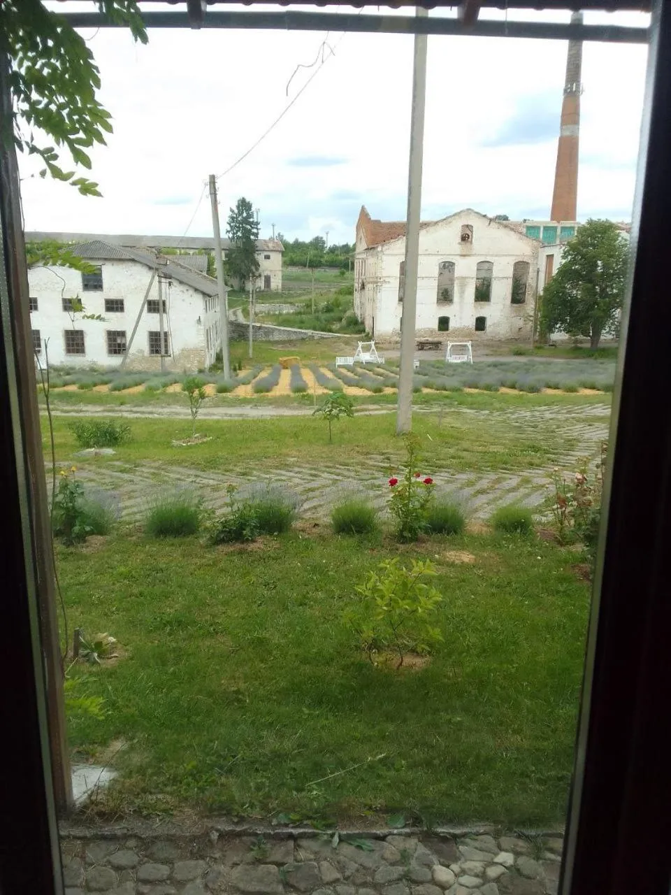 View (from property/room) in Hotel Rafinad