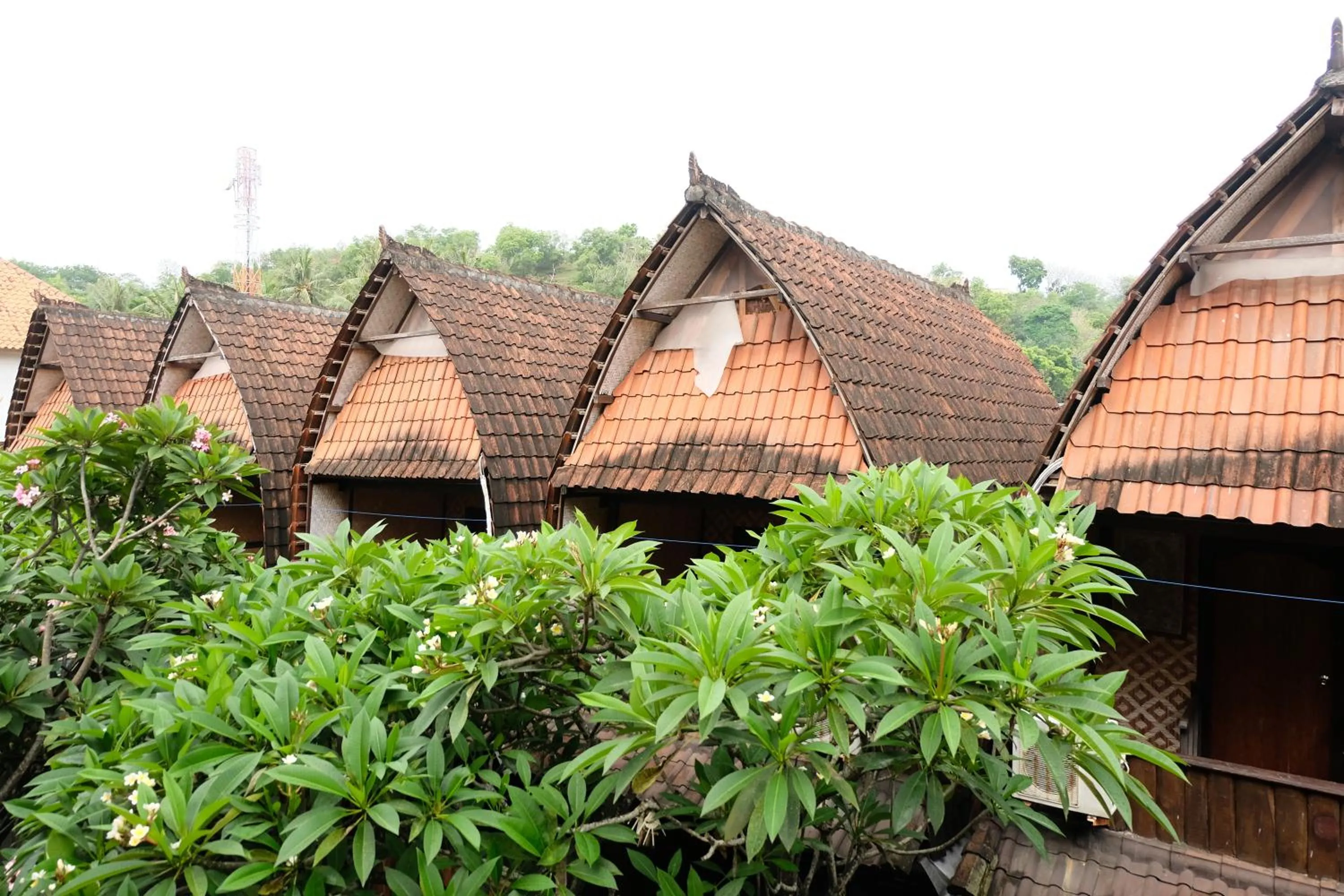 Deluxe Twin Bungalow in Kerti Beach Bungalow and Restaurant