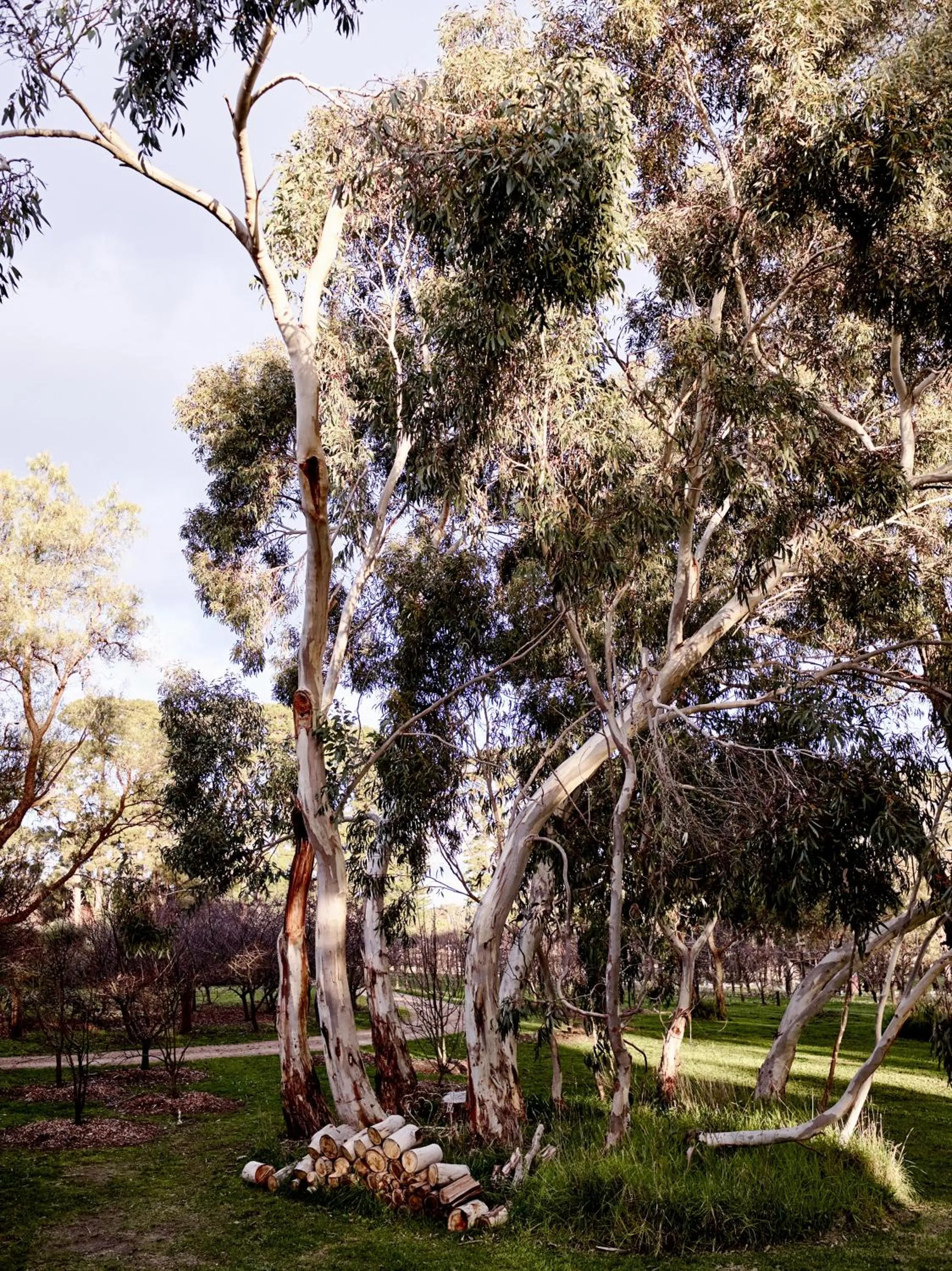 Natural landscape in Hart's Farm